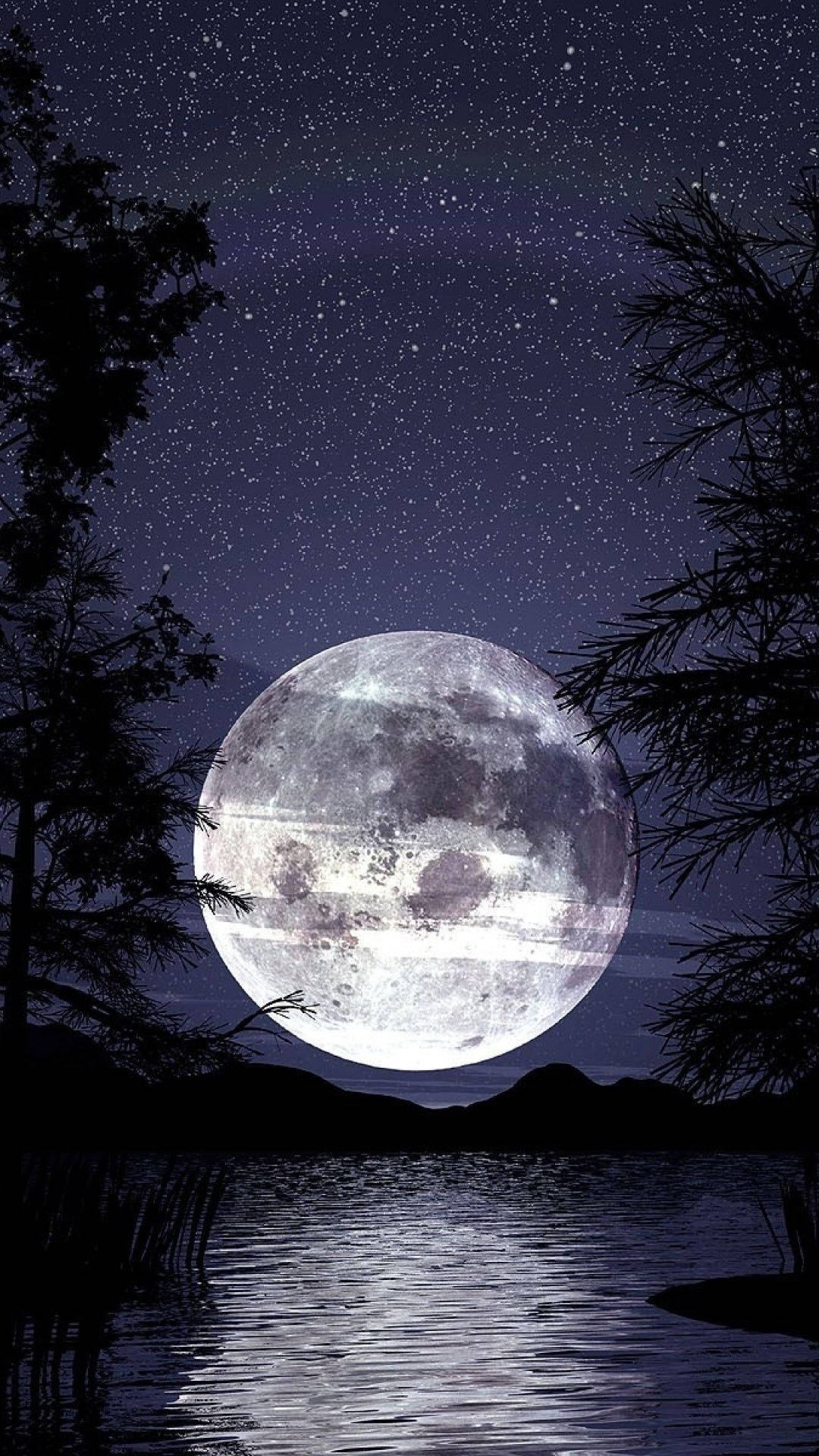 黑夜 桌布 壁紙 — 一輪巨大的發光月亮懸掛在寧靜的湖面上，湖邊是剪影般的松樹，背景是繁星點點的夜空。