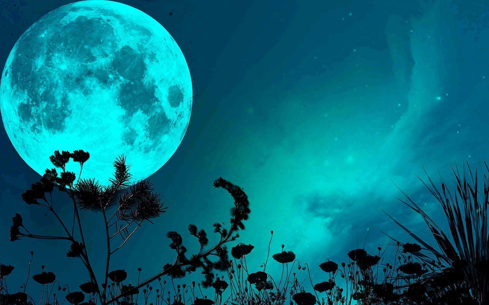 Pretty Moon 桌布 壁紙 — 一輪巨大的發光青色月亮在繁星點點的藍綠色天空下，從剪影般的野花後升起。