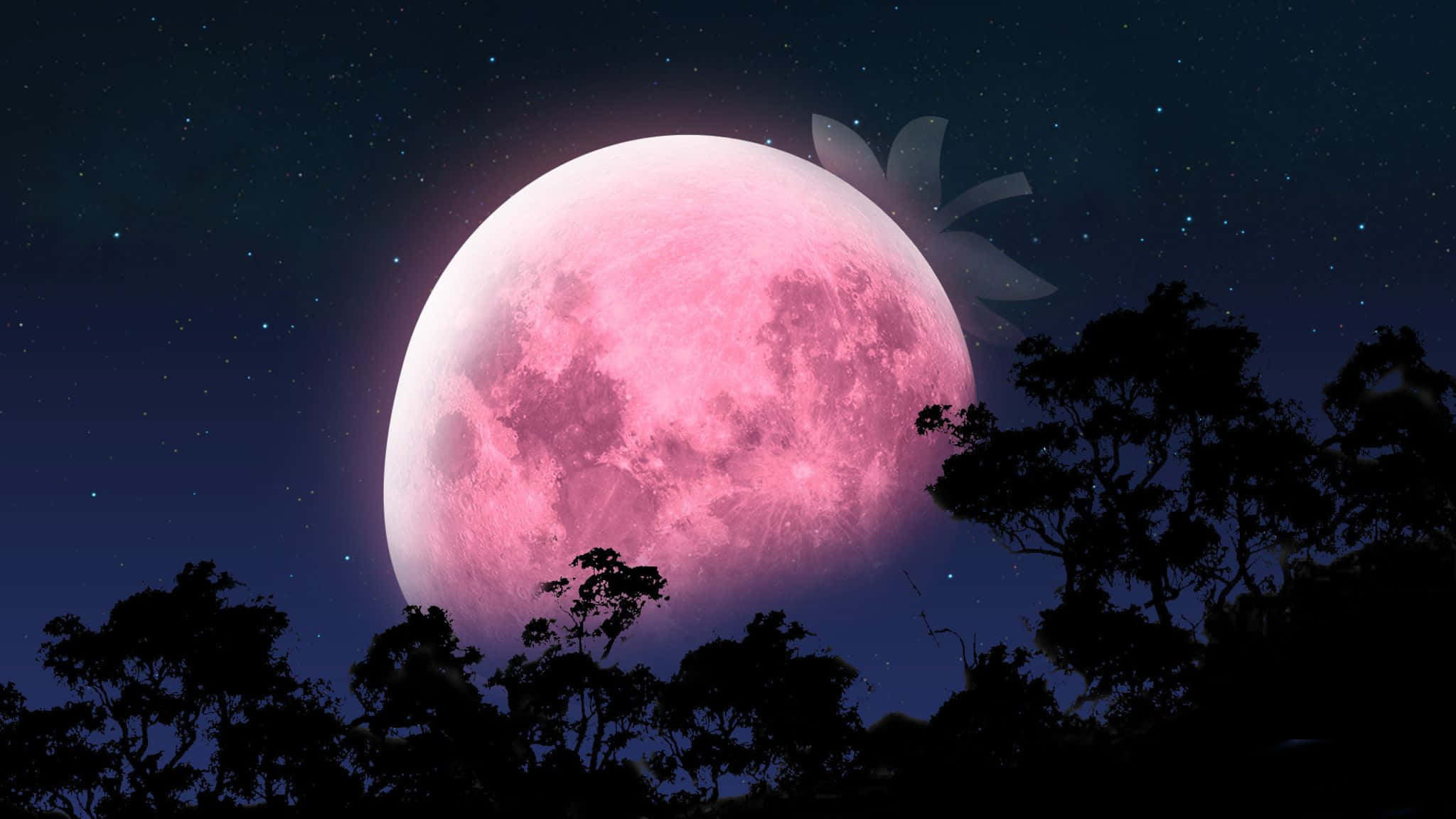 Pink Moon Real 桌布 壁紙 — 一輪巨大的粉紅月亮在黑暗的樹影上升起，襯托著滿天繁星的夜空，上方有一個發光的花朵形狀。