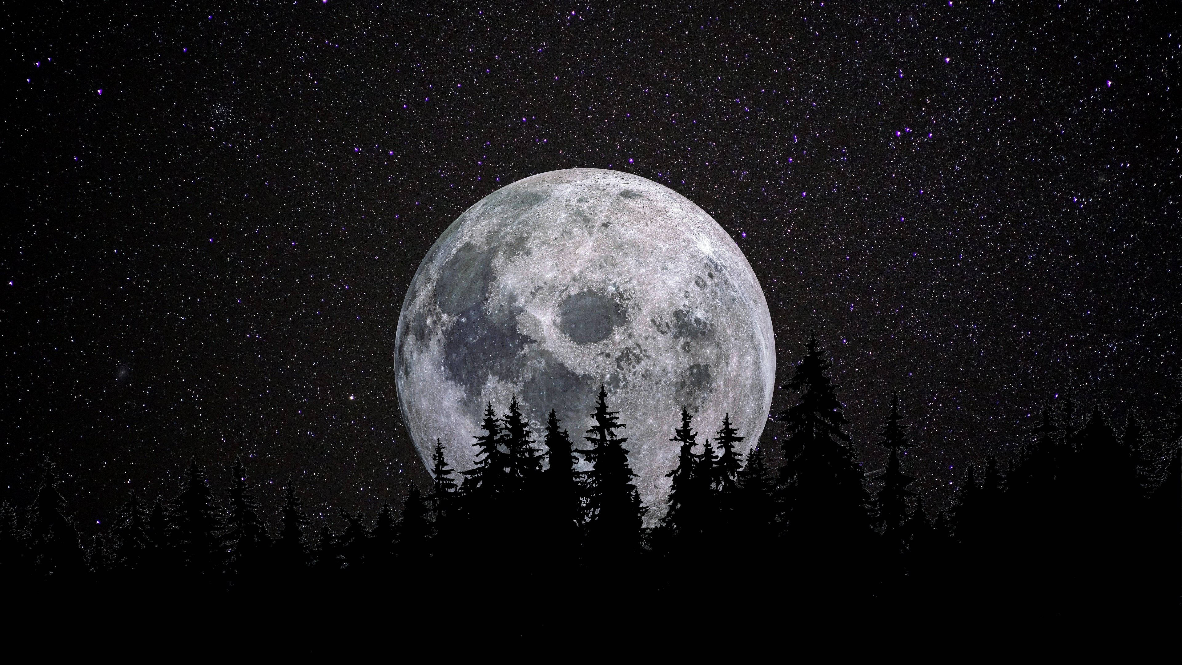 森林 桌布 壁紙 — 一輪巨大而細節豐富的滿月在繁星點點的夜空下從黑暗的松樹林後升起。