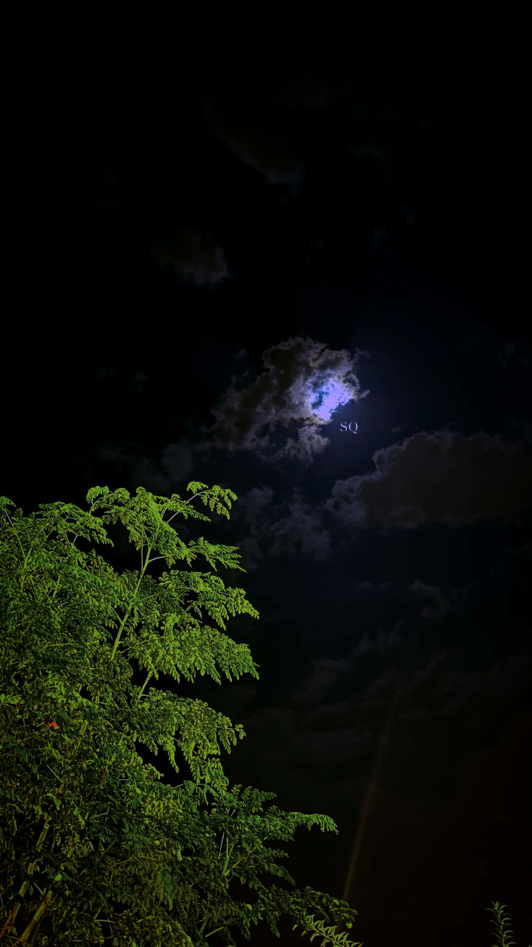 Good view for the moon with green 壁紙 — 一輪明亮的月亮從烏雲中窺探，映襯著夜空中一棵翠綠樹木的剪影。