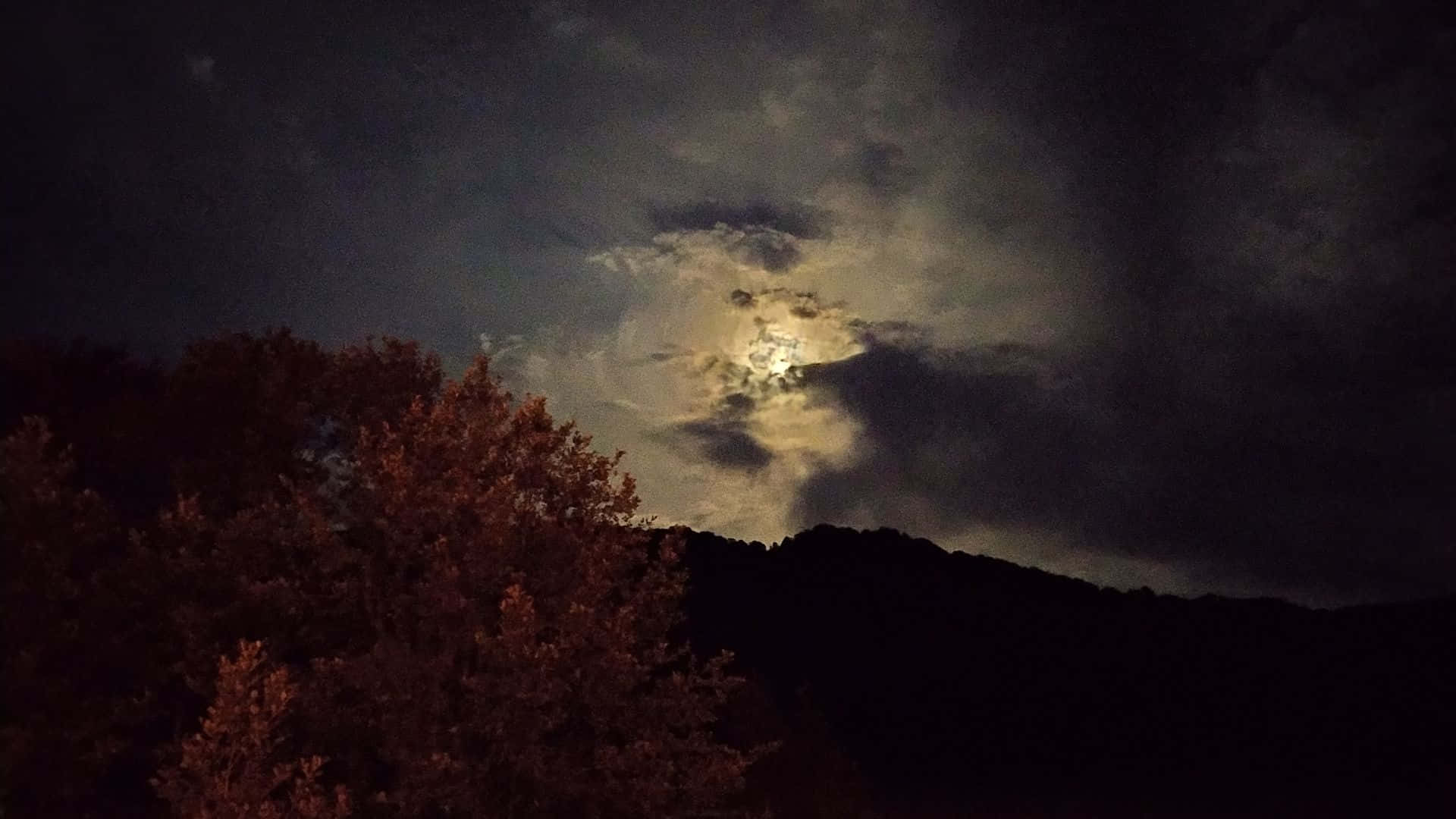 黑夜 桌布 壁紙 — 一輪明亮的月亮穿過戲劇性的雲層，映照在黑暗森林的輪廓之上，背景是繁星點點的夜空。