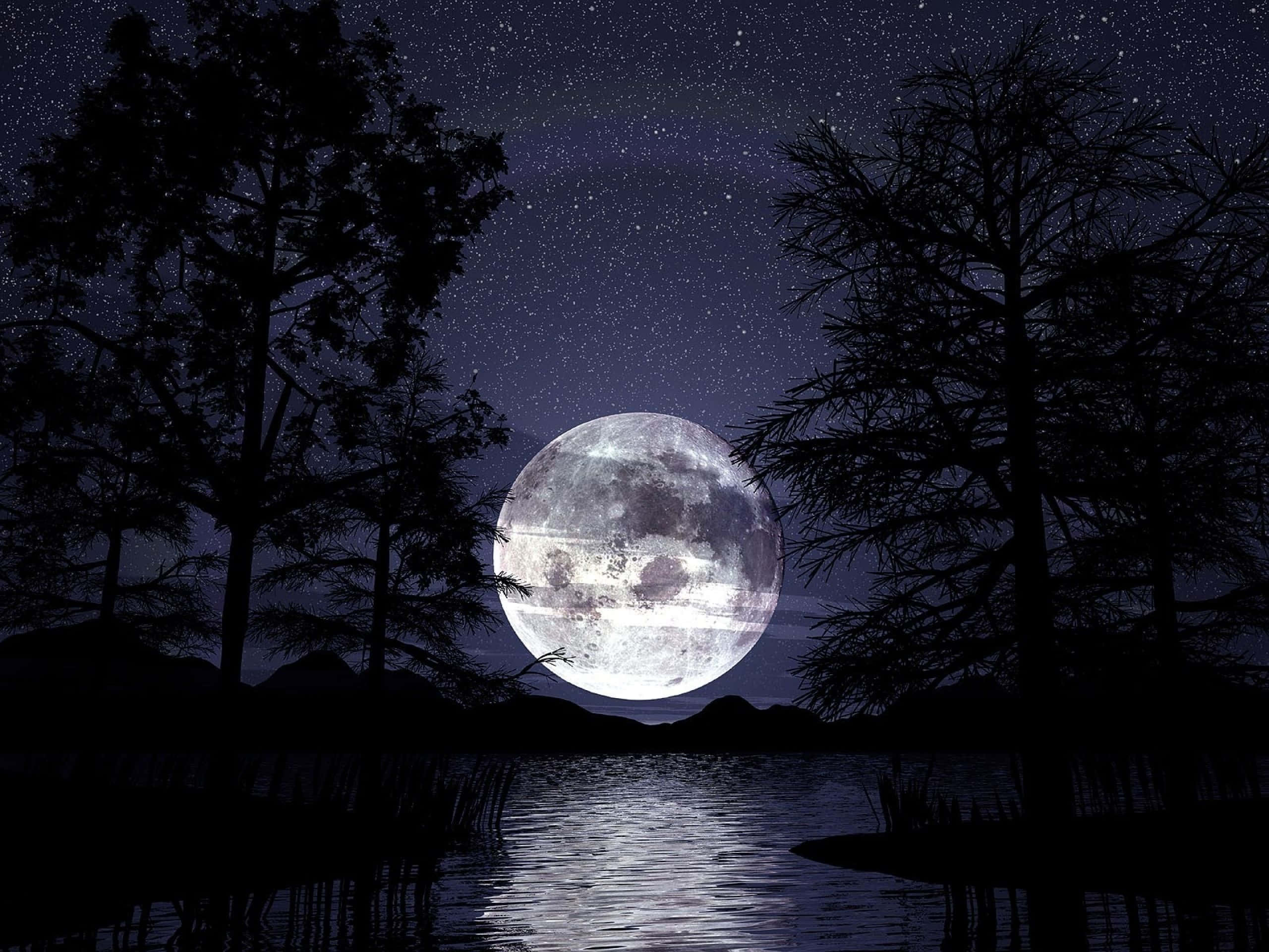 Dark Moon 桌布 壁紙 — 一輪明亮的滿月升起在寧靜的湖面上，被剪影般的樹木環繞，背景是繁星點點的夜空。