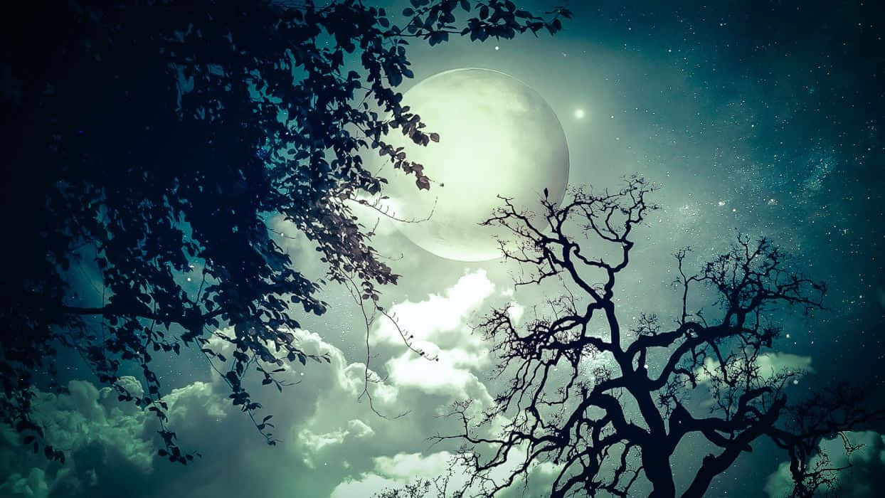 月亮與星星 桌布 壁紙 — 一輪明亮的滿月在剪影樹木後方發光，背景是繁星點點、雲霧繚繞的夜空。