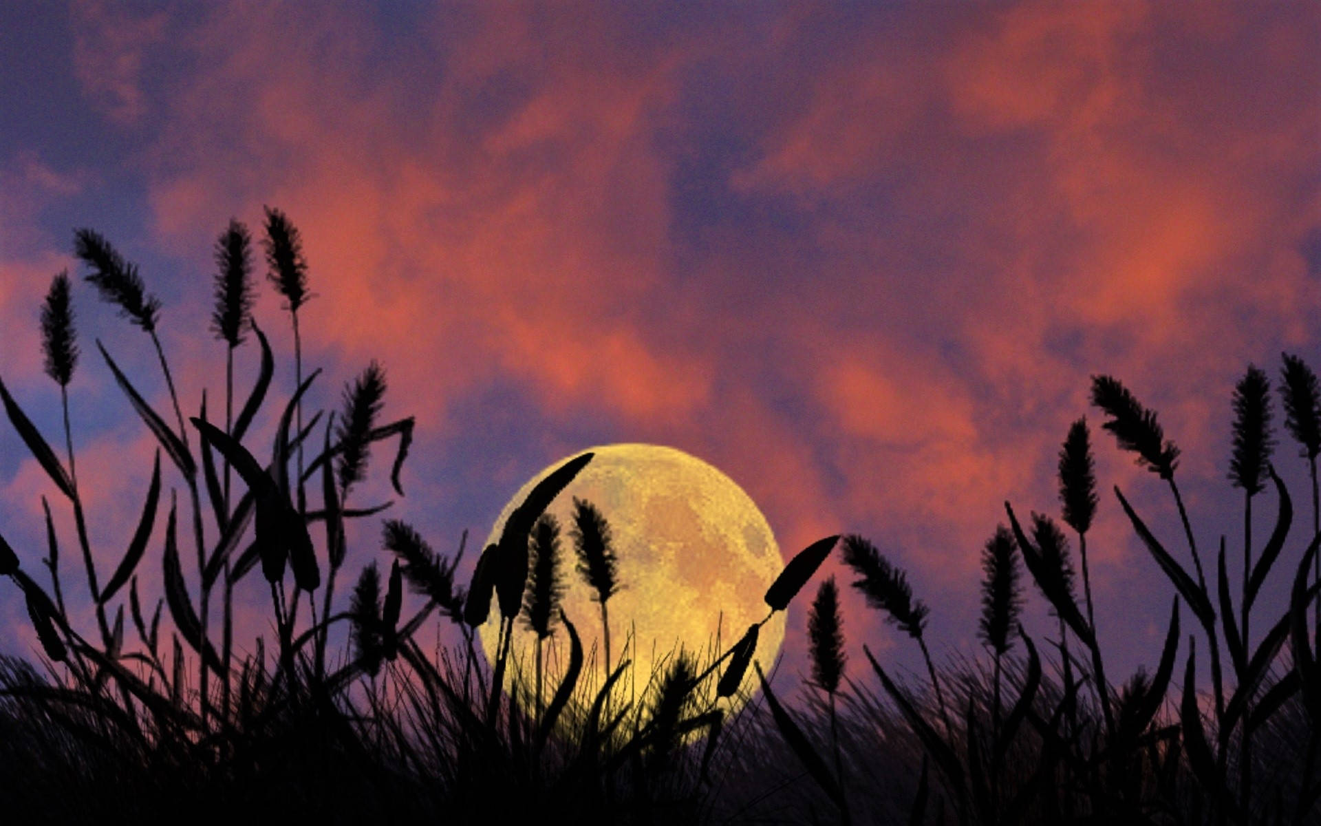 Moon Night Sky 桌布 壁紙 — 一輪明亮的滿月在剪影般的蘆葦後方發光，映襯著火橙色和紫色的暮色天空。