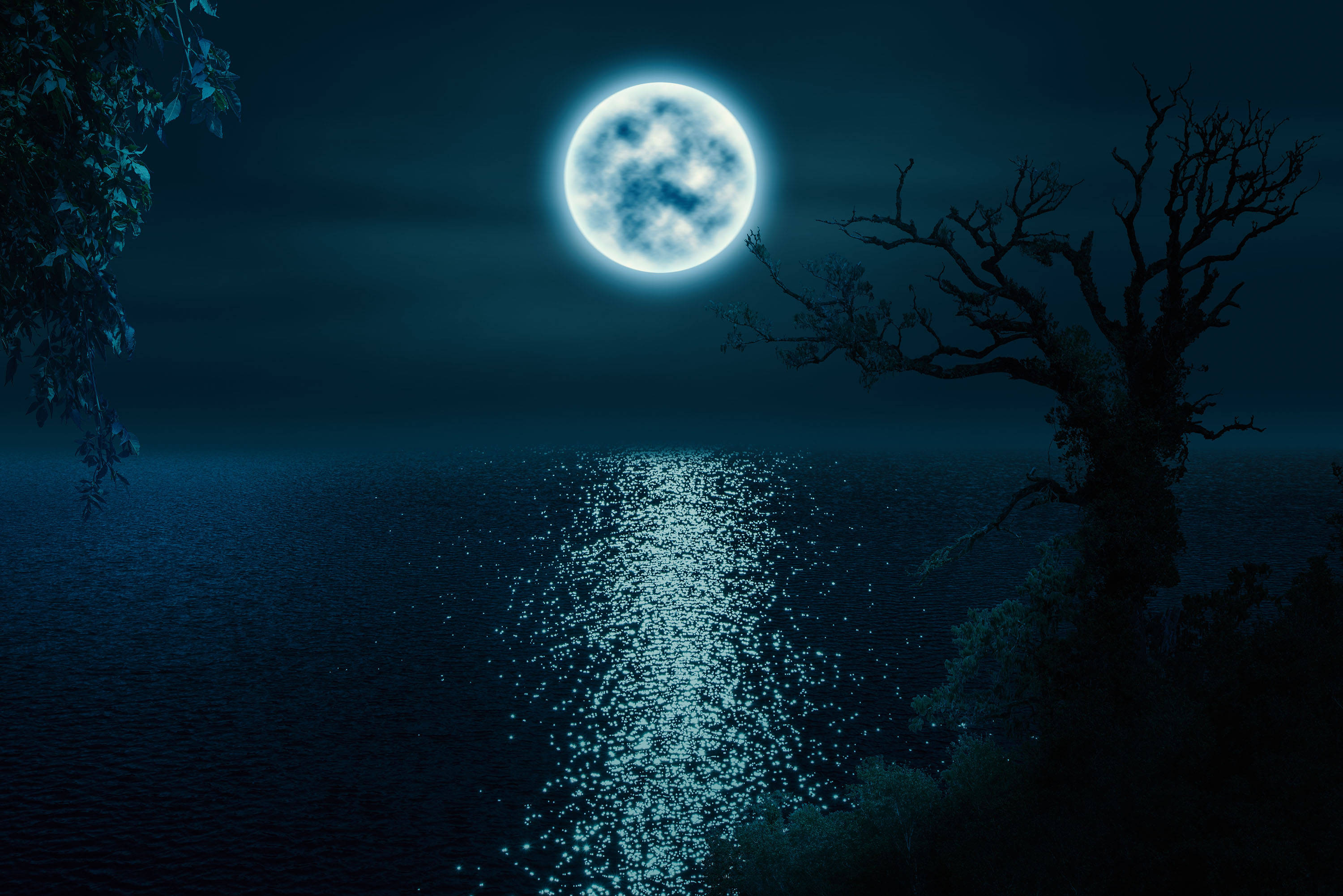 夜空 桌布 壁紙 — 一輪明亮的滿月在寧靜的深藍色湖面上投射出一條閃爍的光路，夜晚被剪影般的樹木環繞。