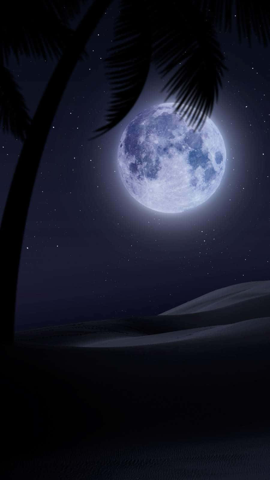Moon iPhone 桌布 壁紙 — 一輪明亮的滿月在星空下照耀沙漠沙丘，周圍是棕櫚葉的剪影。