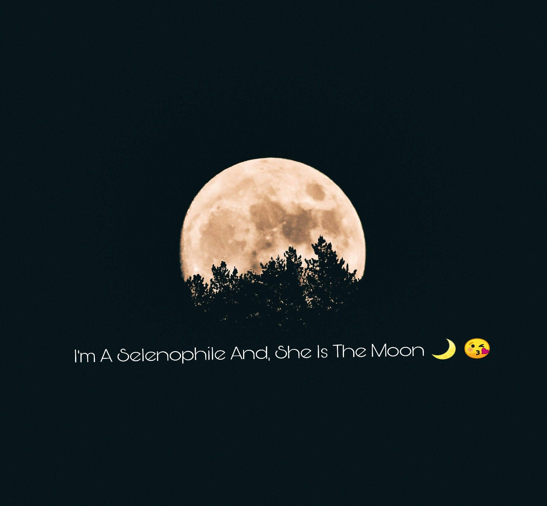 moon quotes 桌布 壁紙 — 一輪明亮的滿月在松樹剪影後發光，襯托著深邃的夜空，並帶有文字疊加。