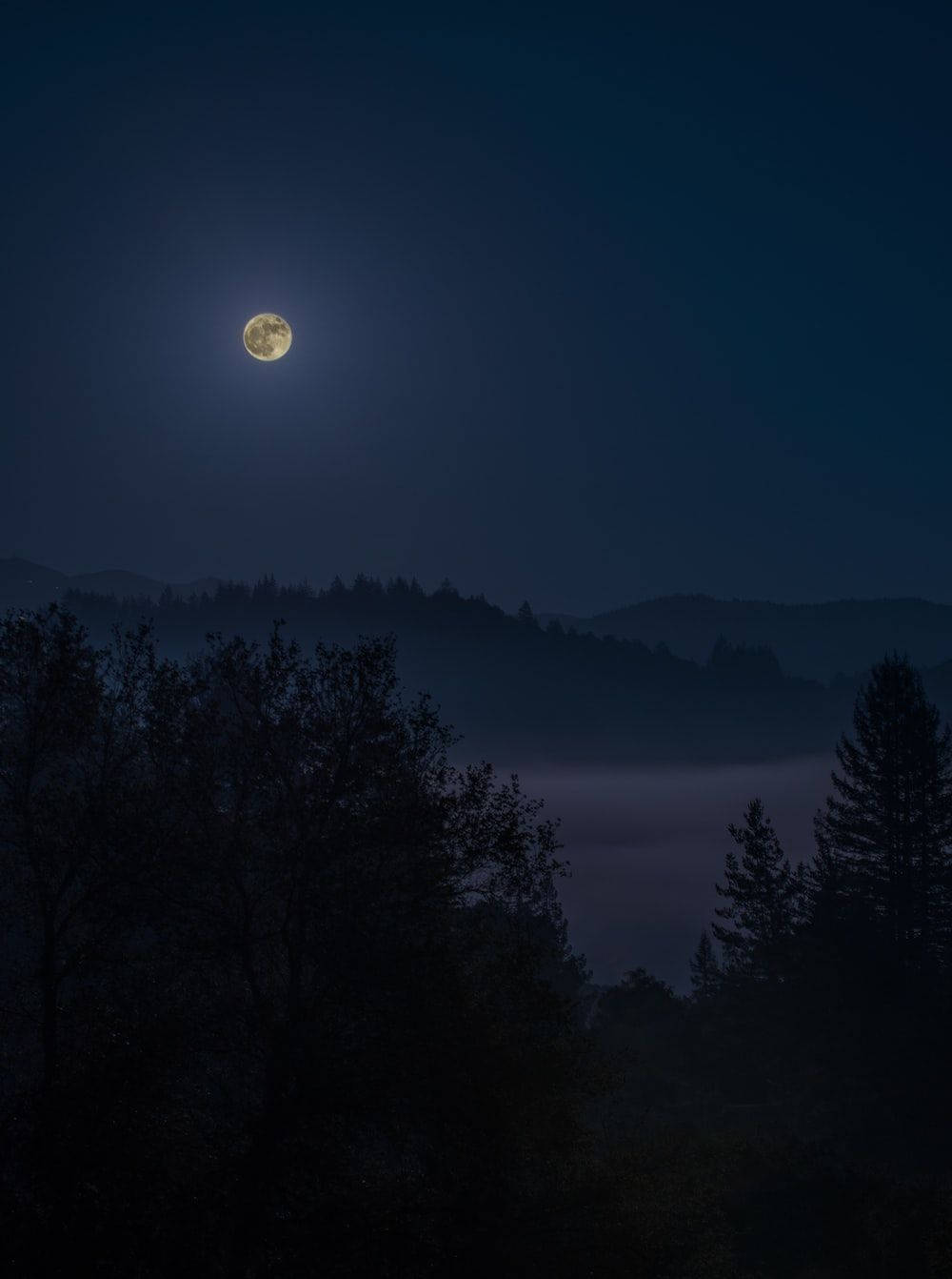 黑夜 桌布 壁紙 — 一輪明亮的滿月在深藍色夜空下，將柔和的光芒灑在由黑暗樹影和遠山環繞的霧氣山谷上。