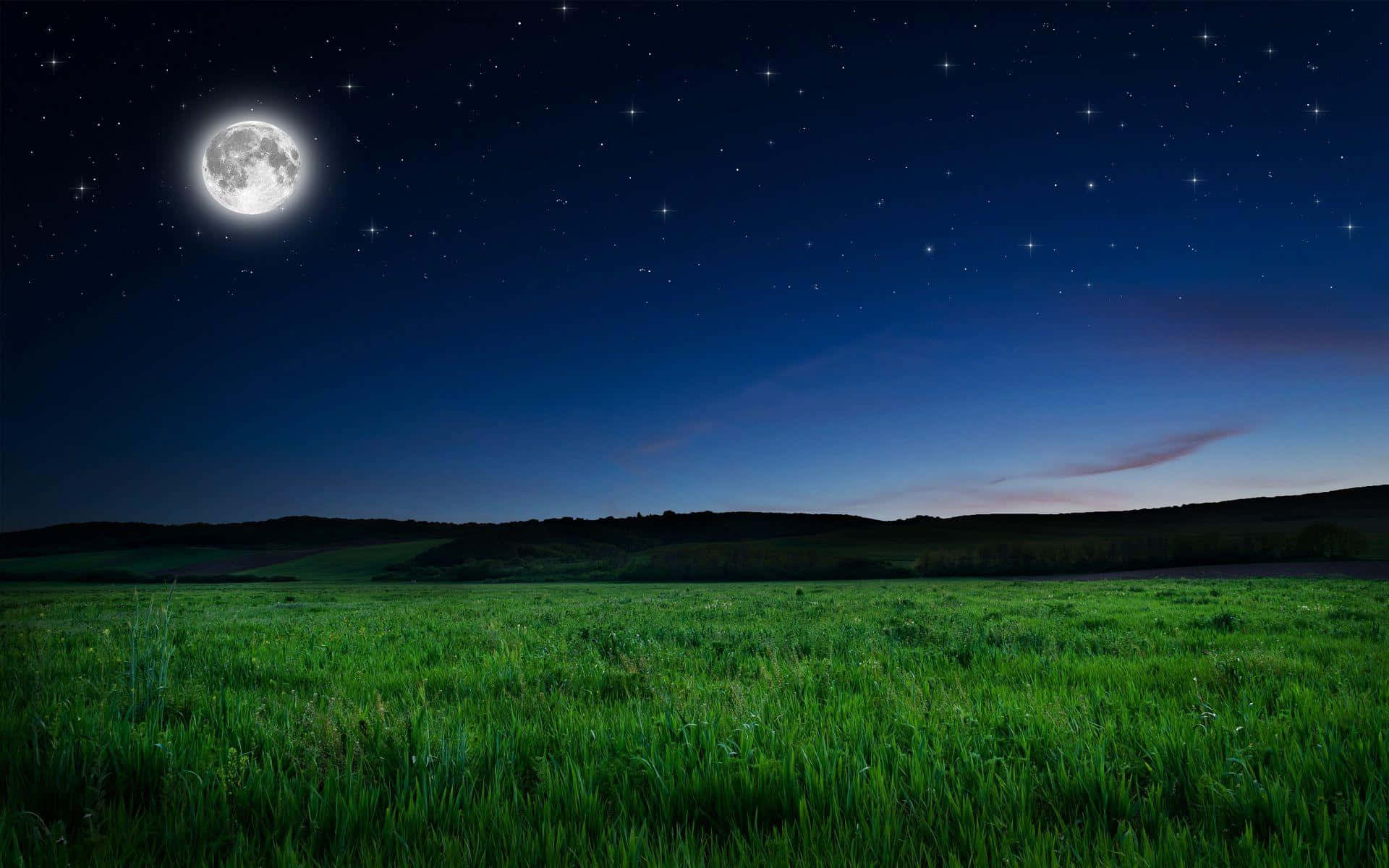 full moon 桌布 壁紙 — 一輪明亮的滿月在繁星點點的夜空下，將銀色光芒灑在廣闊的綠色草地上。