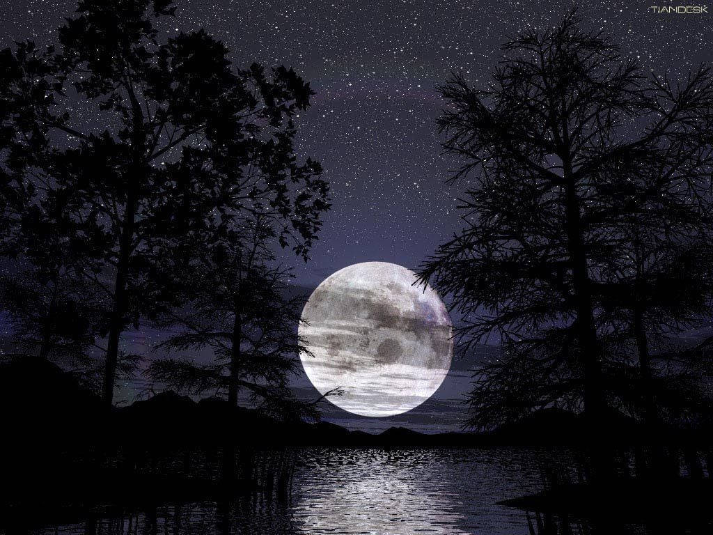 Beautiful Moon 桌布 壁紙 — 一輪明亮的滿月在繁星點點的夜空下，從寧靜的湖面升起，周圍是黑暗的樹木剪影。