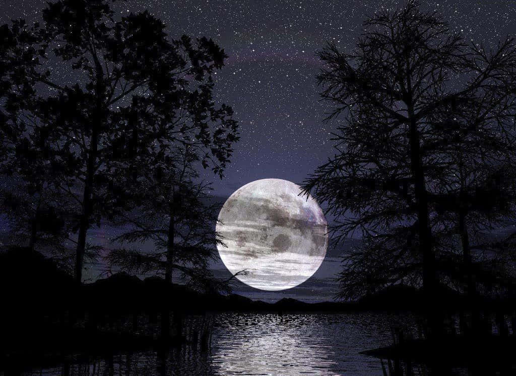 月光 桌布 壁紙 — 一輪明亮的滿月在繁星點點的夜空下，從寧靜的湖面升起，四周環繞著黑暗的樹木剪影。