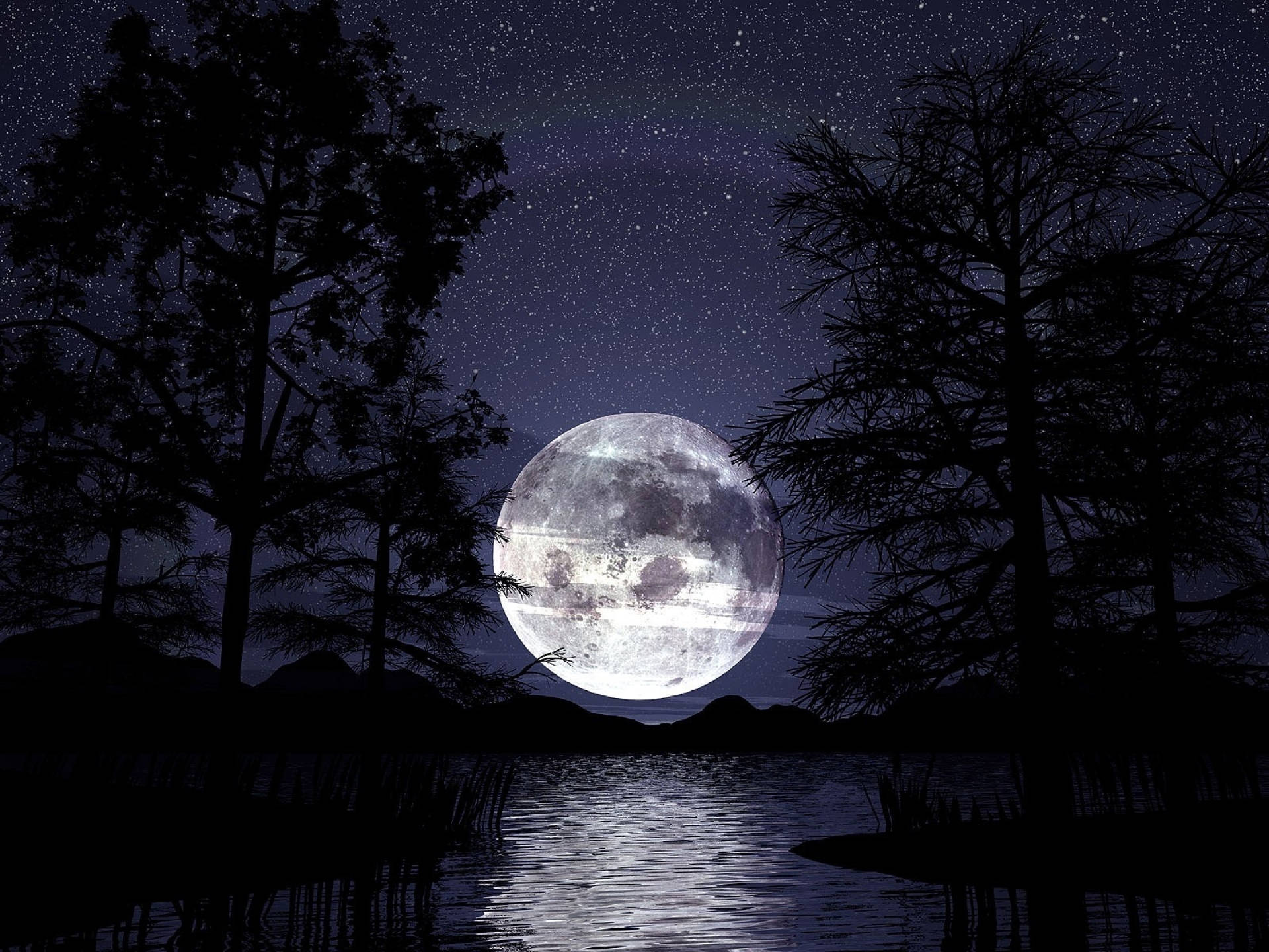 夜空 桌布 壁紙 — 一輪明亮的滿月在繁星點點的夜空下，從被樹木剪影環繞的寧靜湖面升起。