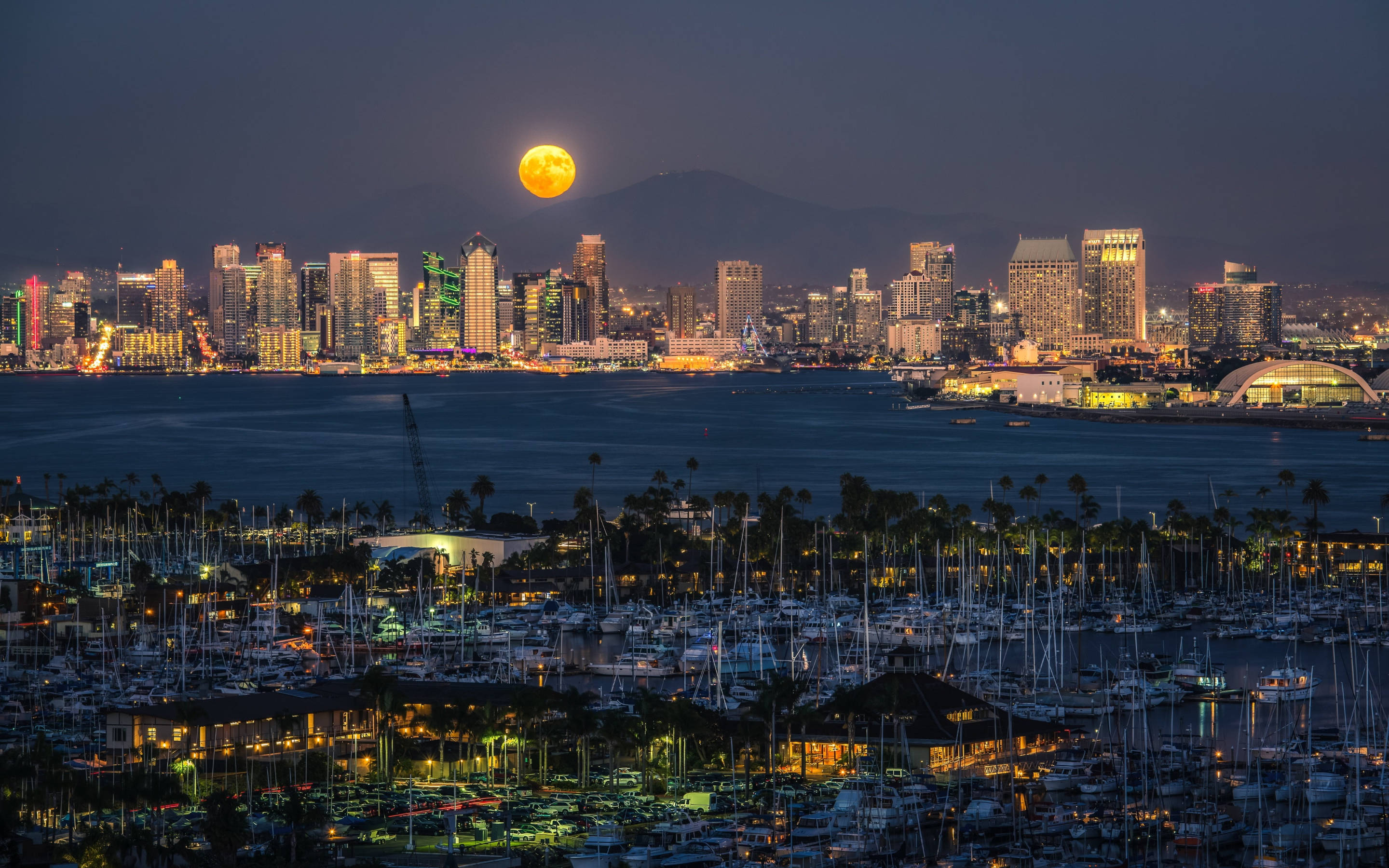 夜空 桌布 壁紙 — 一輪明亮的滿月在黃昏時分升起在充滿活力的城市天際線上，將金色的光芒灑在停滿船隻和棕櫚樹的碼頭上。
