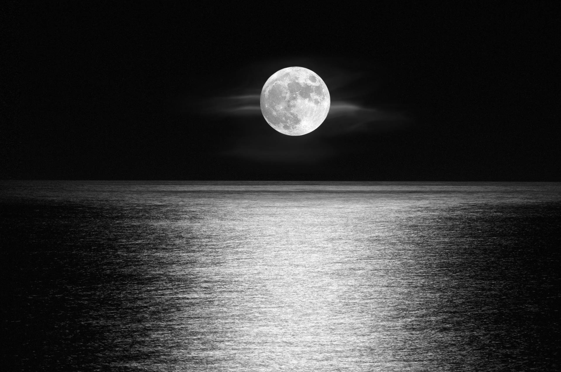 滿月映照在夜間平靜的海面上，黑白 — 風景動畫 壁紙