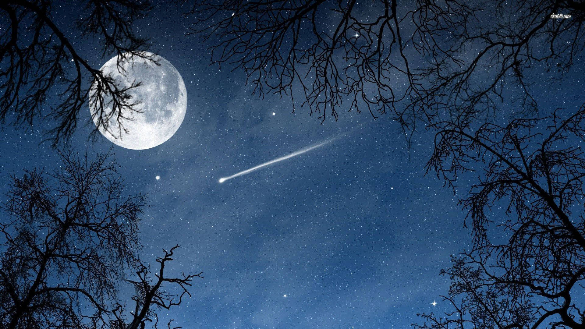夜空 桌布 壁紙 — 一輪明亮的滿月掛在繁星點點的夜空，一顆發光的流星掠過光禿禿的樹枝。