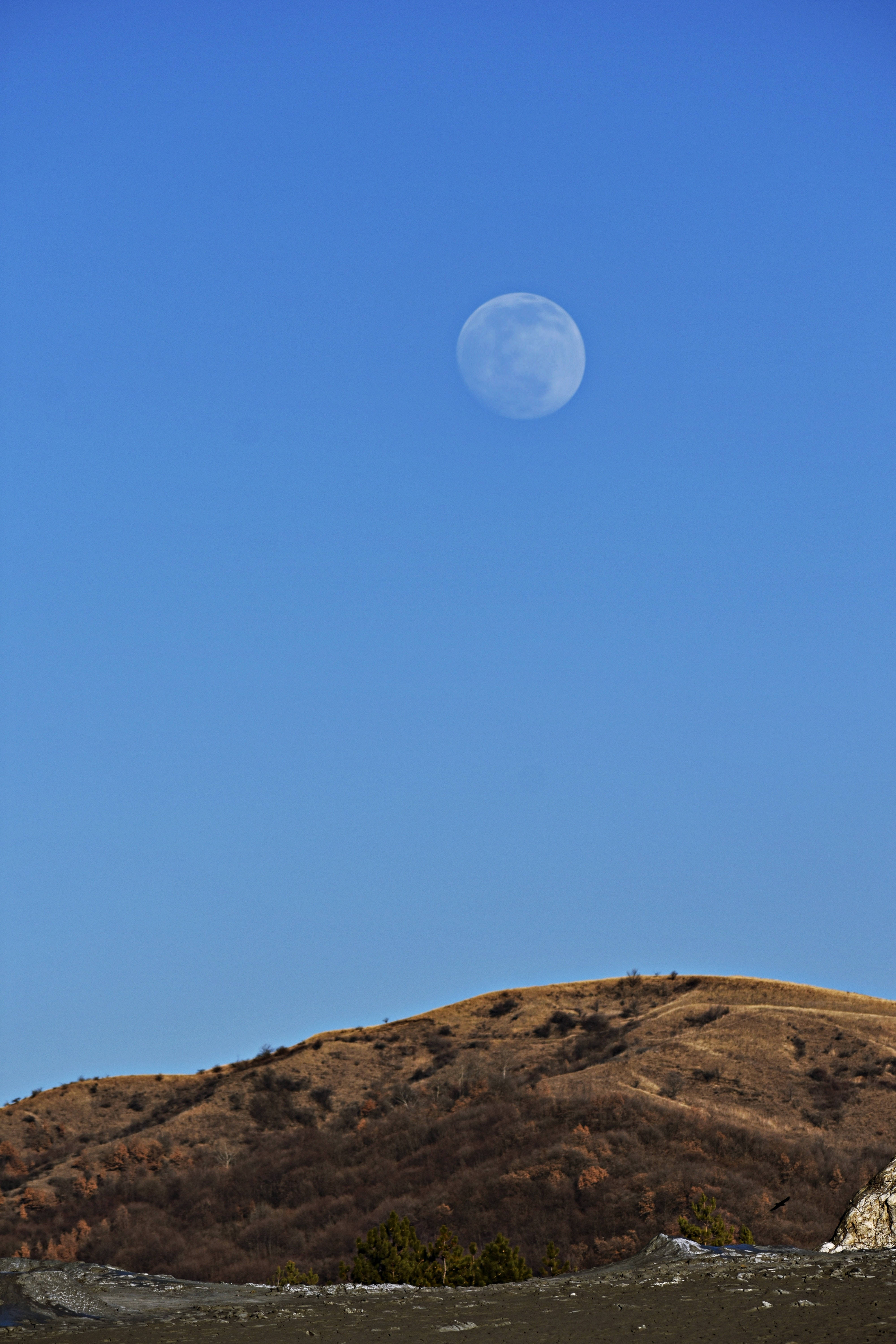 full moon 桌布 壁紙 — 一輪明亮的滿月高掛在晴朗的藍天上，照耀著陽光普照、乾燥且長滿草的山坡，山坡上樹木稀疏。