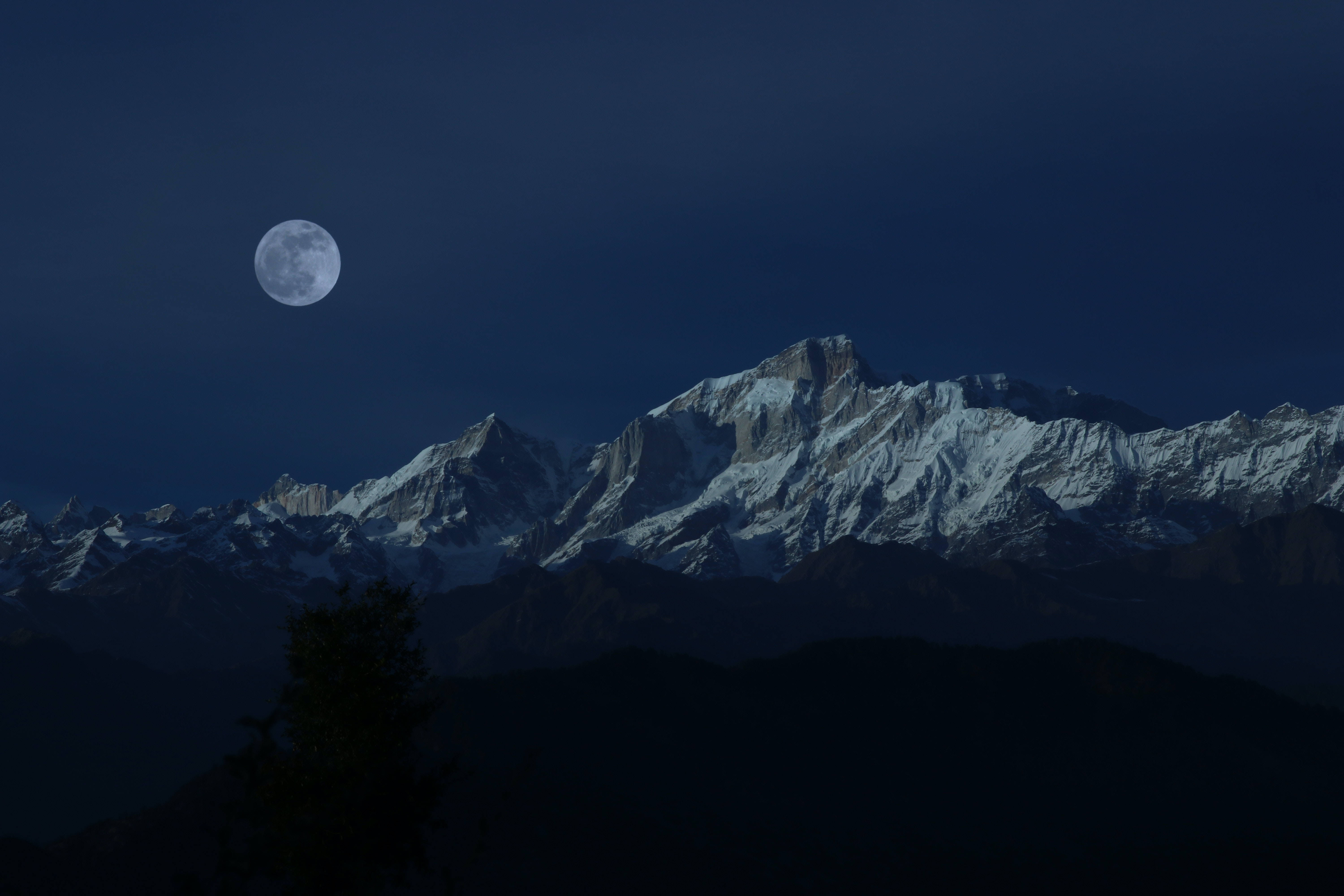 full moon 桌布 壁紙 — 一輪滿月在深藍色夜空下的雪山山脈上方發光，前景有一棵剪影樹。