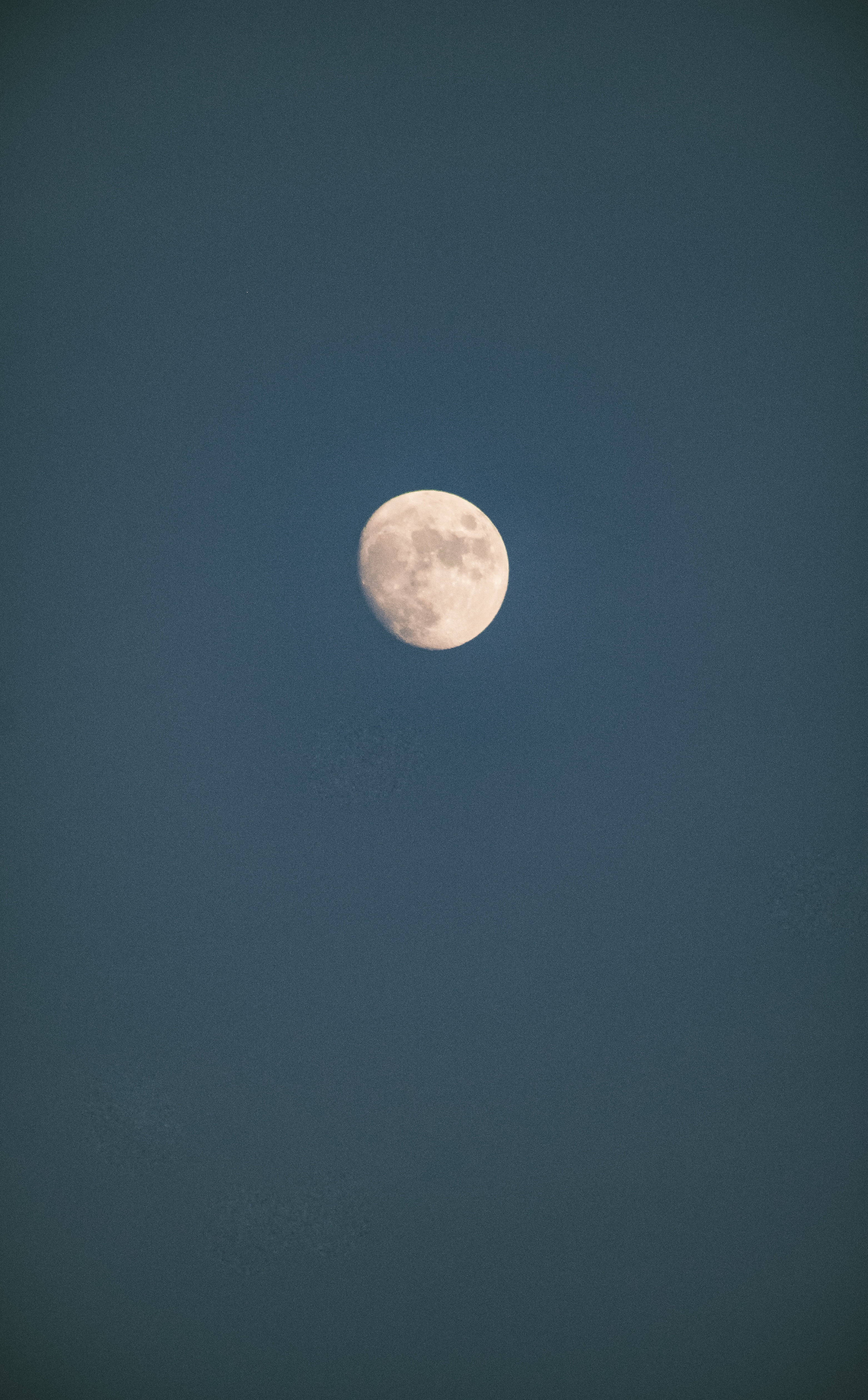 月光 桌布 壁紙 — 一輪滿月在深靛藍色的夜空下柔和地發光，沒有雲或星星可見。