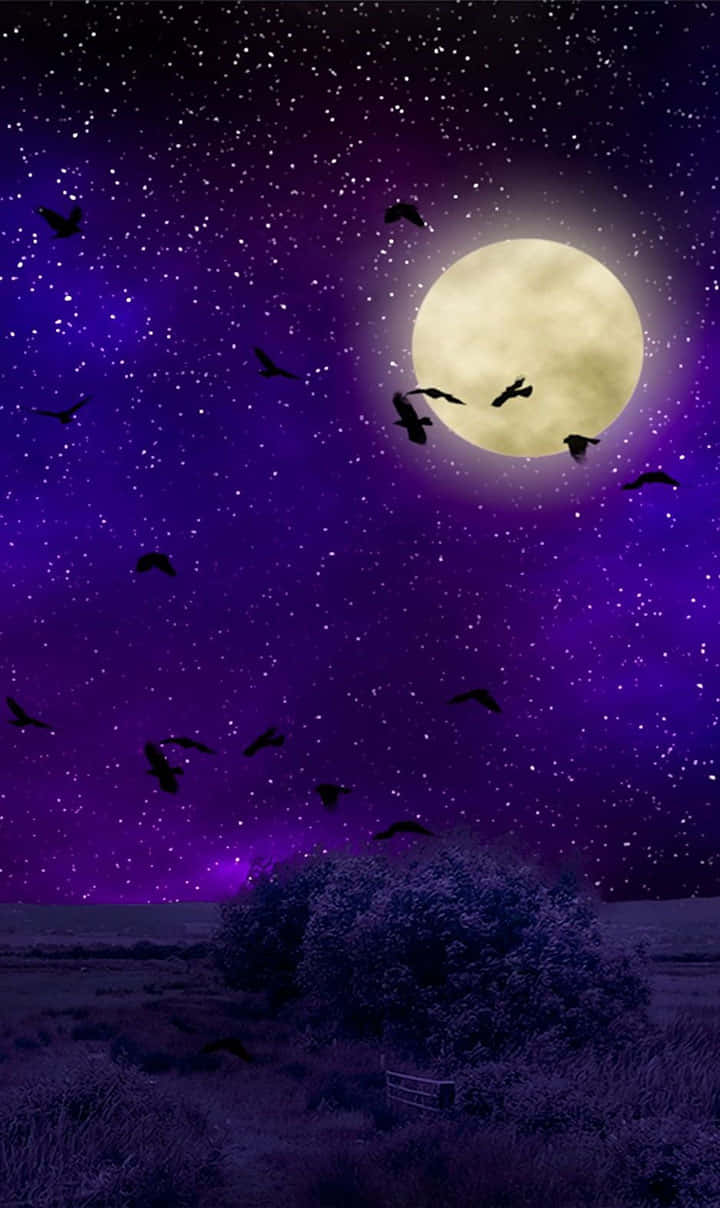 720x1208 桌布 壁紙 — 一輪滿月在繁星點點的紫色夜空中閃耀，剪影的鳥兒飛過沙漠景觀中孤獨的灌木叢。