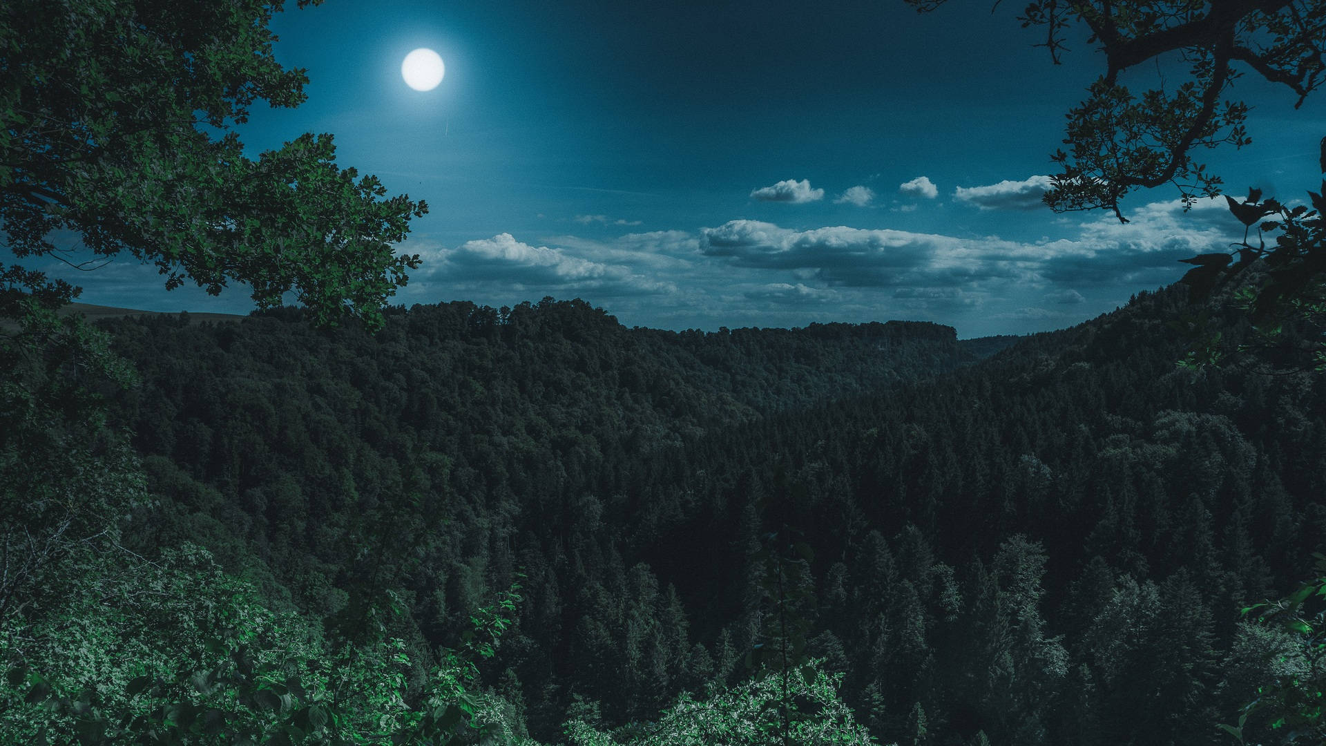View 桌布 壁紙 — 一輪滿月照亮了茂密的森林山谷，背景是深藍色的夜空，散佈著幾朵雲。