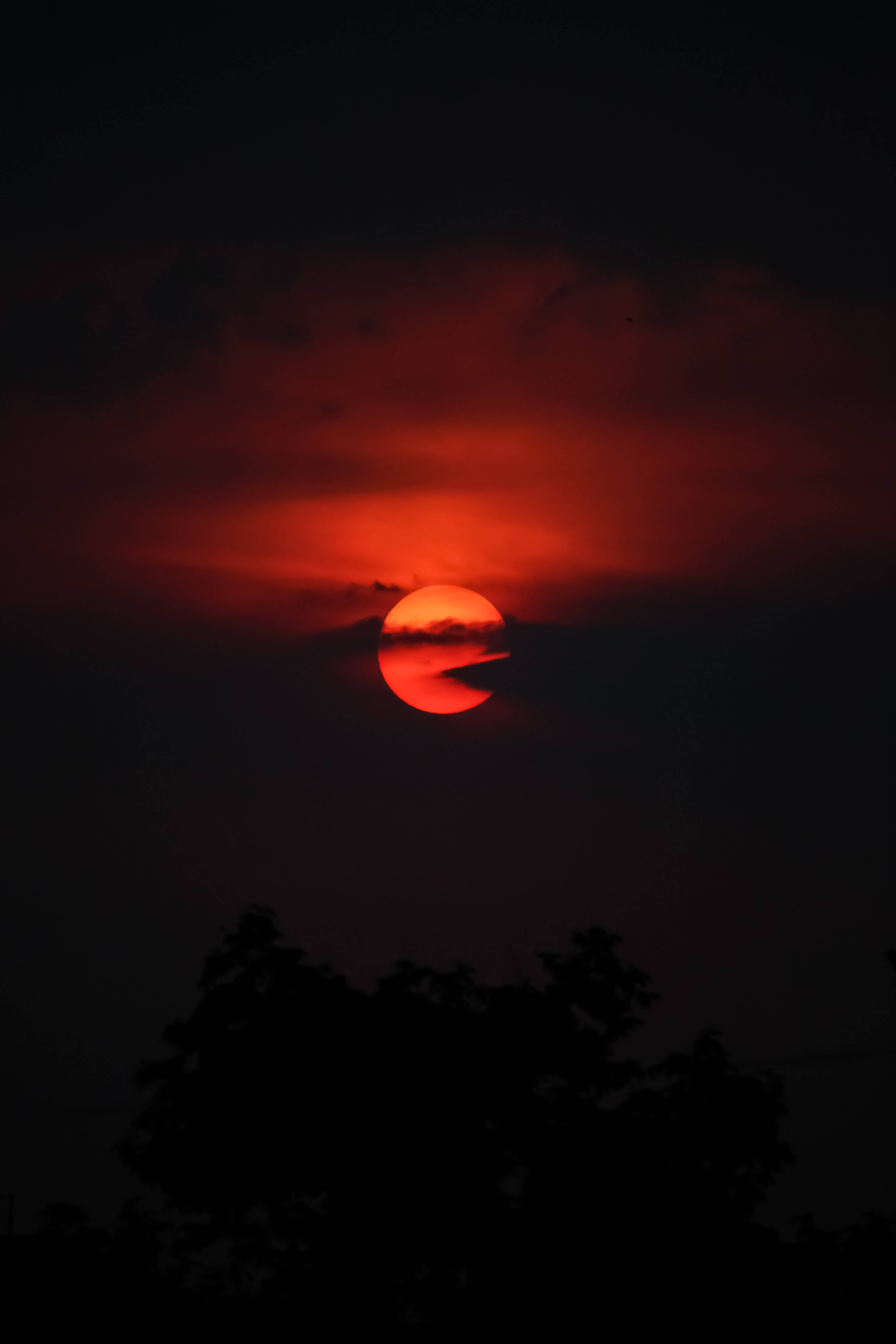 太陽 桌布 壁紙 — 一輪火紅的太陽在雲層後落下，下方有樹木剪影投下深沉的陰影。