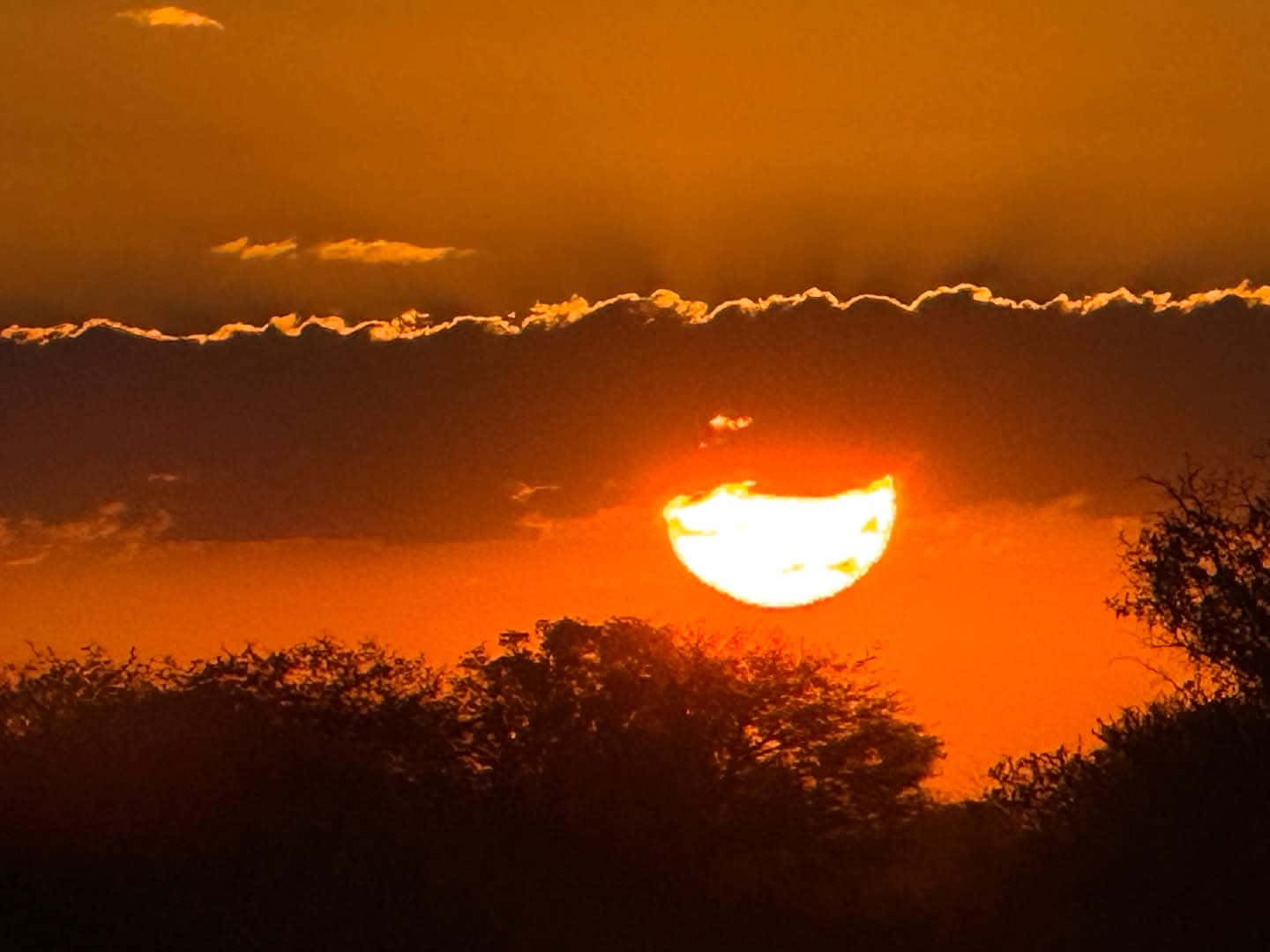 a beautiful sunset. 壁紙 — 一輪火紅的橙色太陽在黑暗的樹木剪影後落下，上方有發光的雲彩。