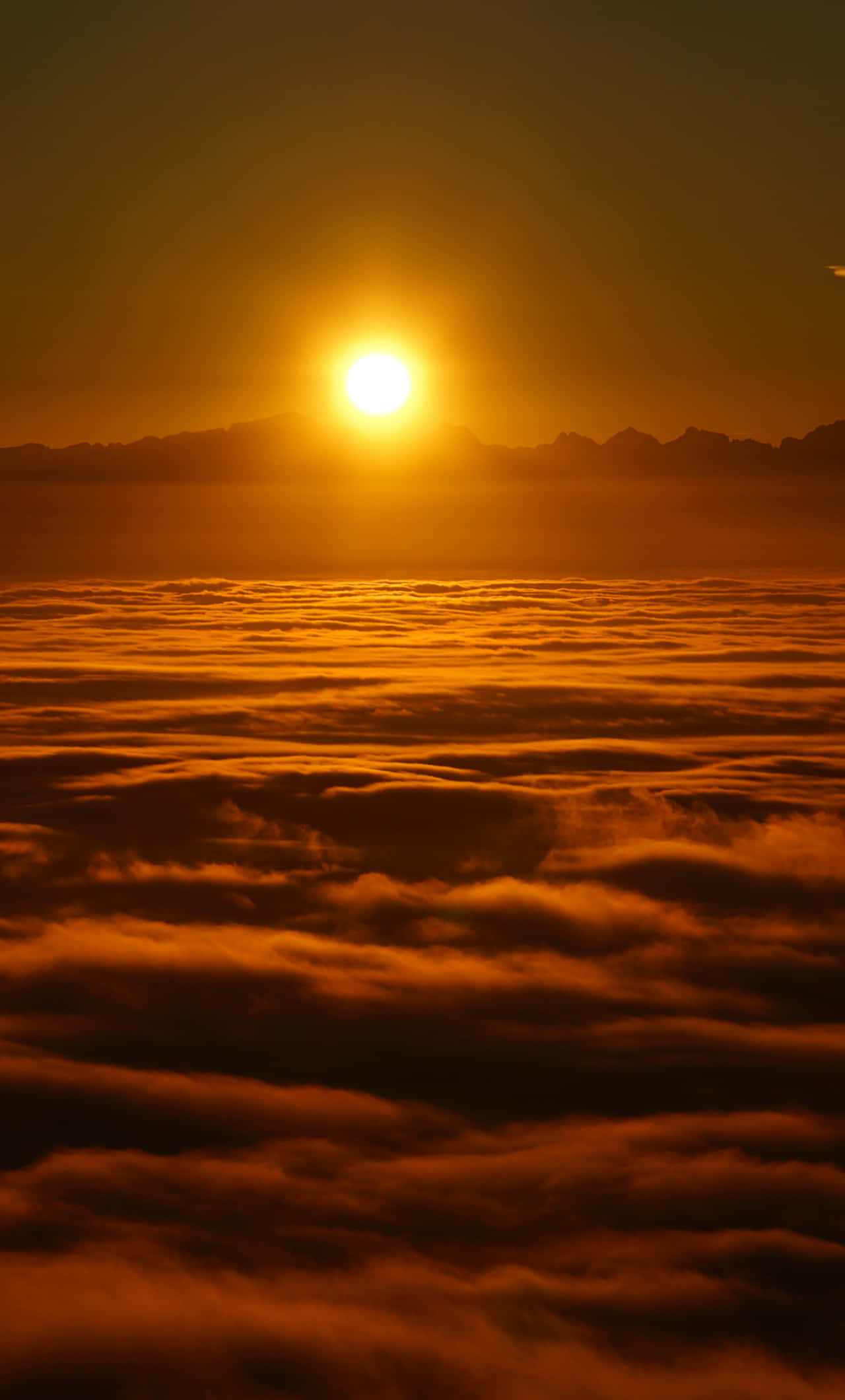 Sunrise iPhone 桌布 壁紙 — 一輪燦爛的太陽在遠山上升起，在下面的雲海上投下金色的光芒。
