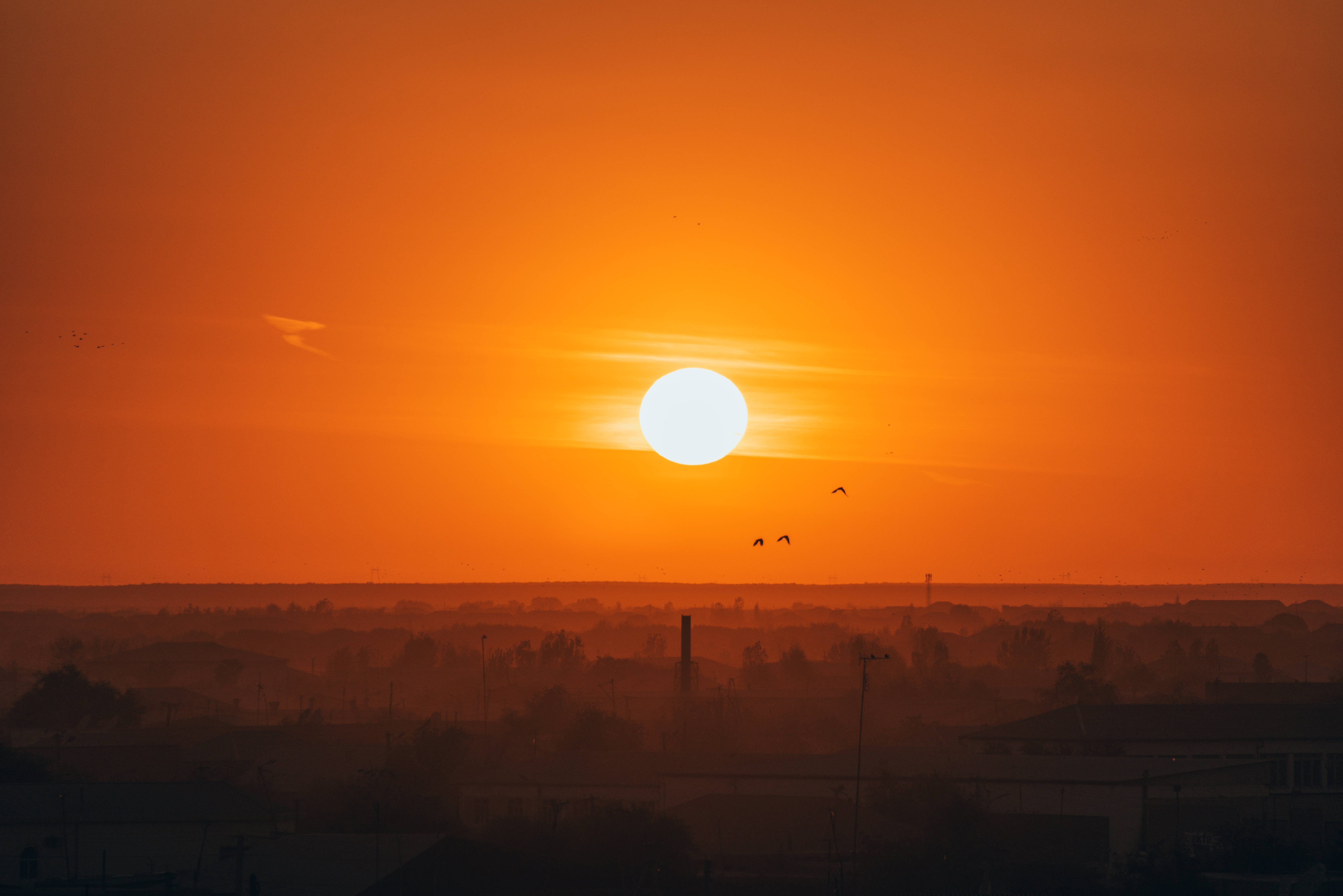 Uzbekistan 桌布 壁紙 — 一輪燦爛的橙色夕陽在朦朧的城市天際線中落下，襯托著剪影般的屋頂和飛翔的鳥兒。