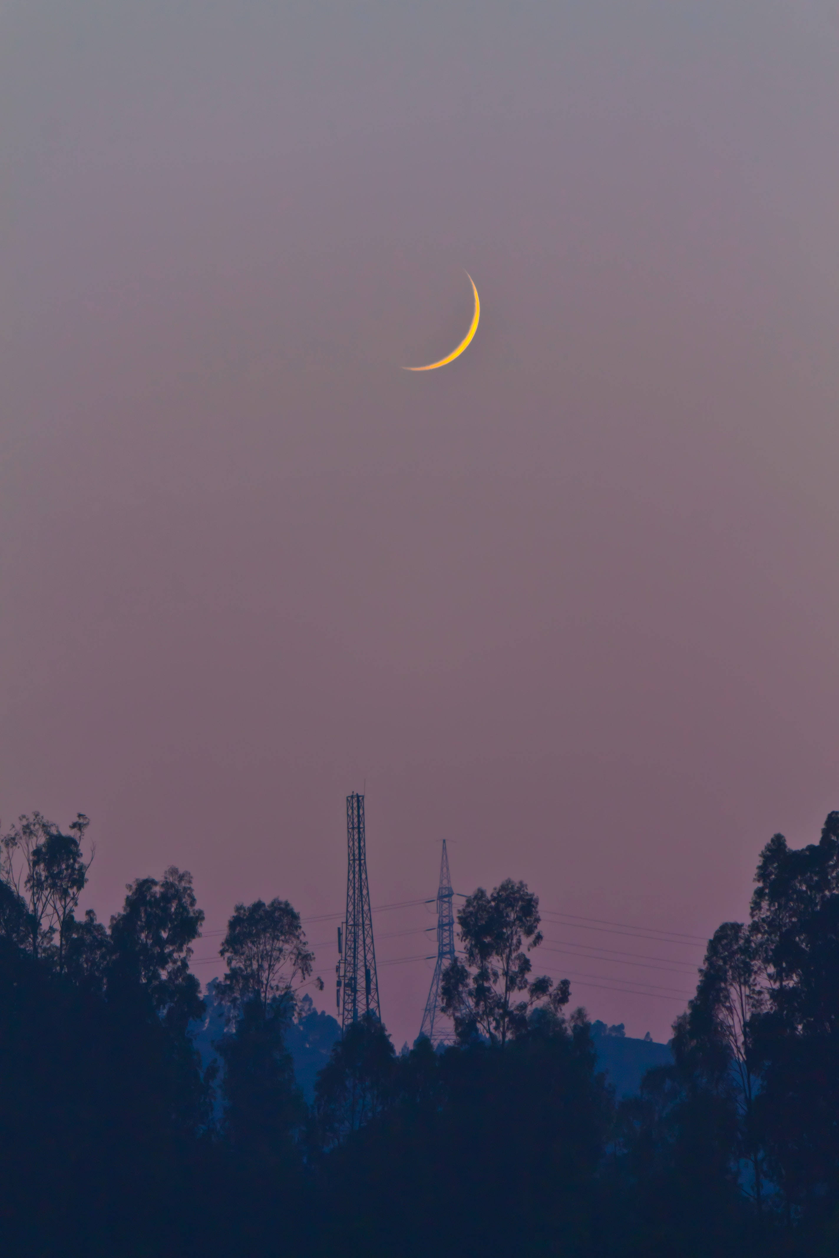 Crescent 桌布 壁紙 — 一輪發光的彎月懸掛在昏暗的紫色天空中，下方是剪影般的樹木和電線。