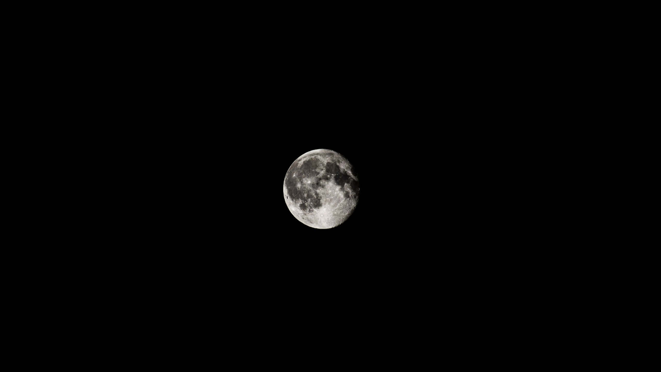 Cute Dark 桌布 壁紙 — 一輪細節豐富的滿月在漆黑無星的夜空中發光。