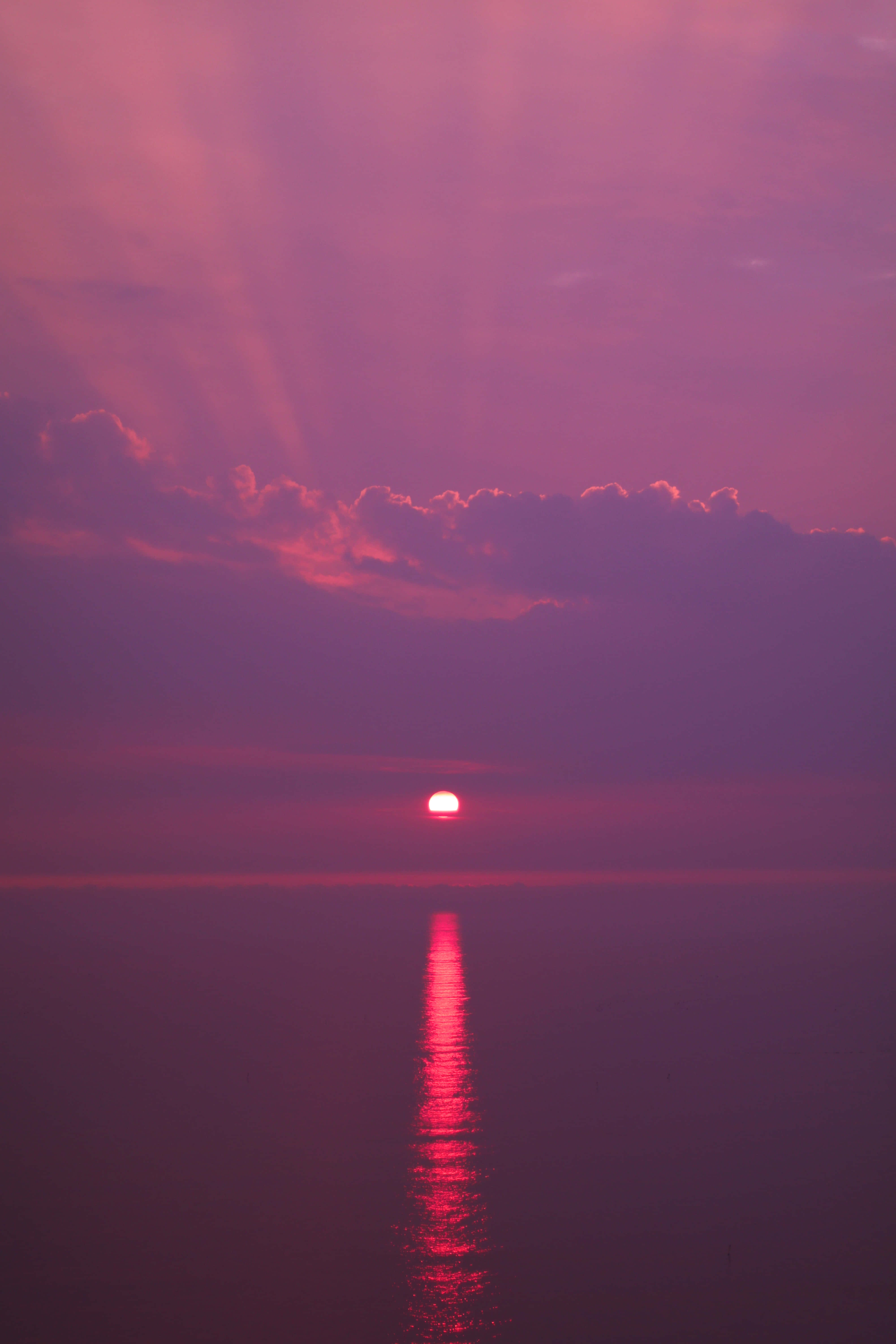 Pink Beach Sunset 桌布 壁紙 — 一輪耀眼的粉紅夕陽在平靜的水面上落下，在寧靜的地平線上投下閃爍的倒影。