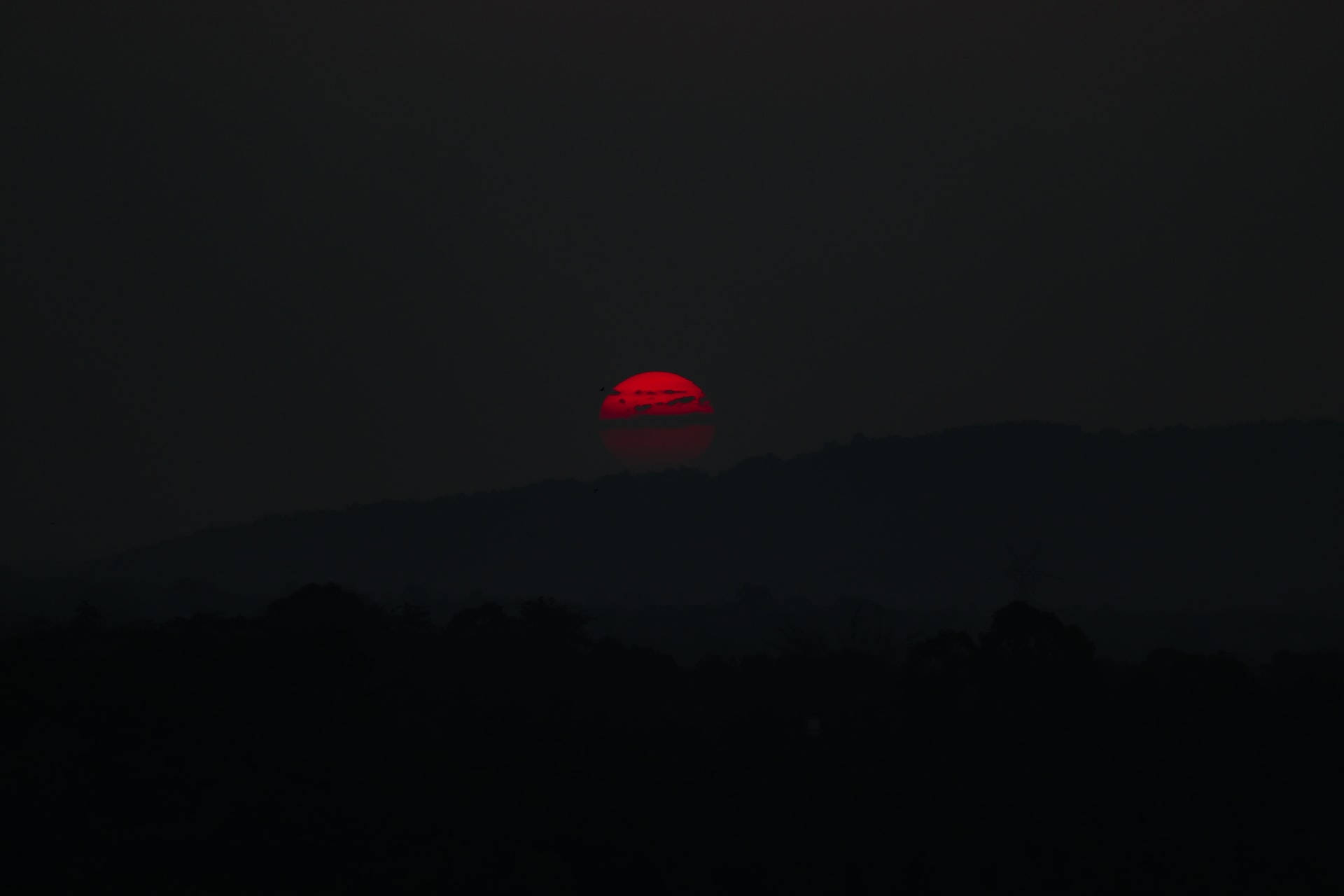 黃昏時，一輪紅日落在黑暗的山丘和樹木後面。 — 太陽 GIF 壁紙