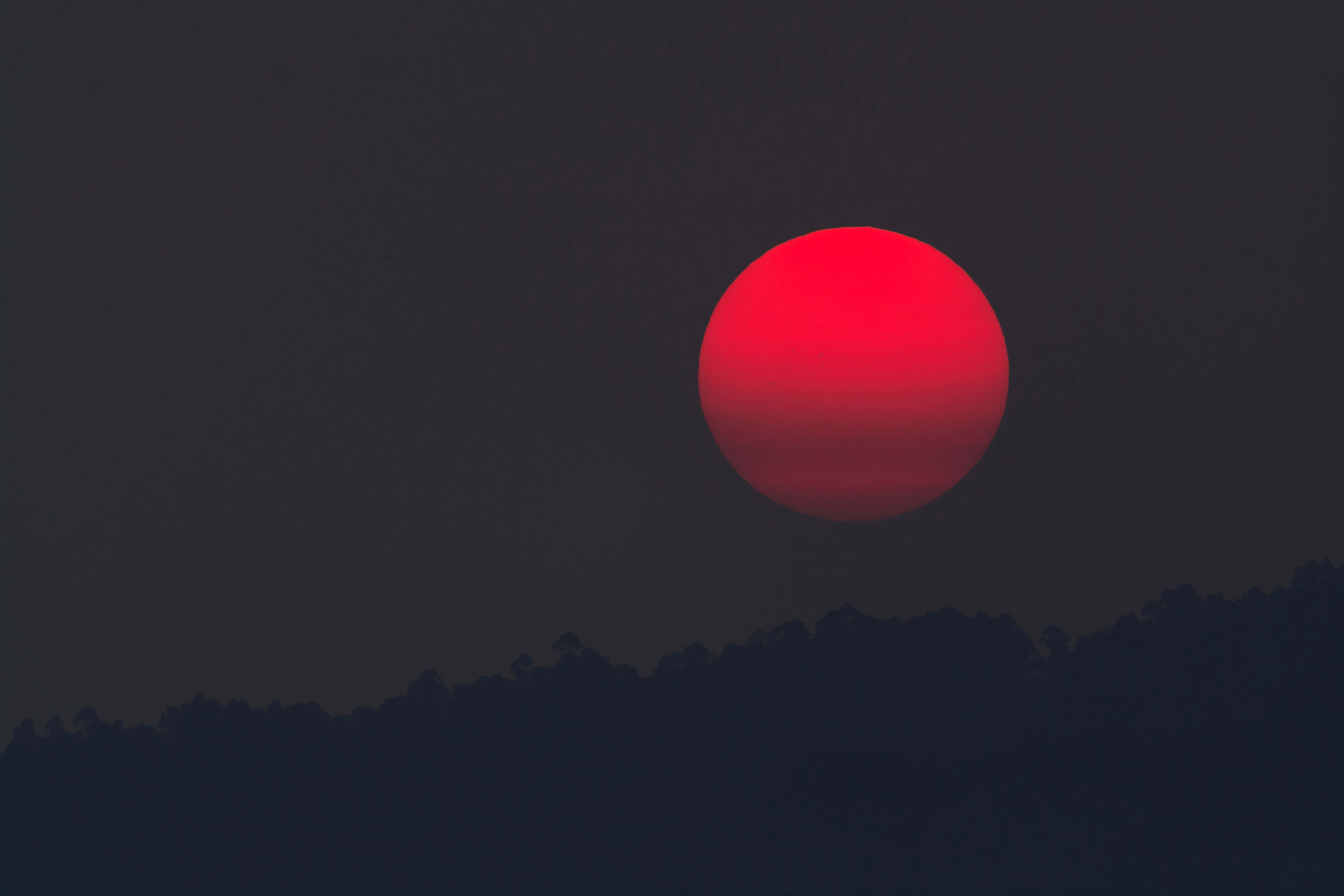 blood moon 桌布 壁紙 — 一輪鮮紅的太陽低垂在昏暗天空下，襯托著黑暗的樹木剪影線。