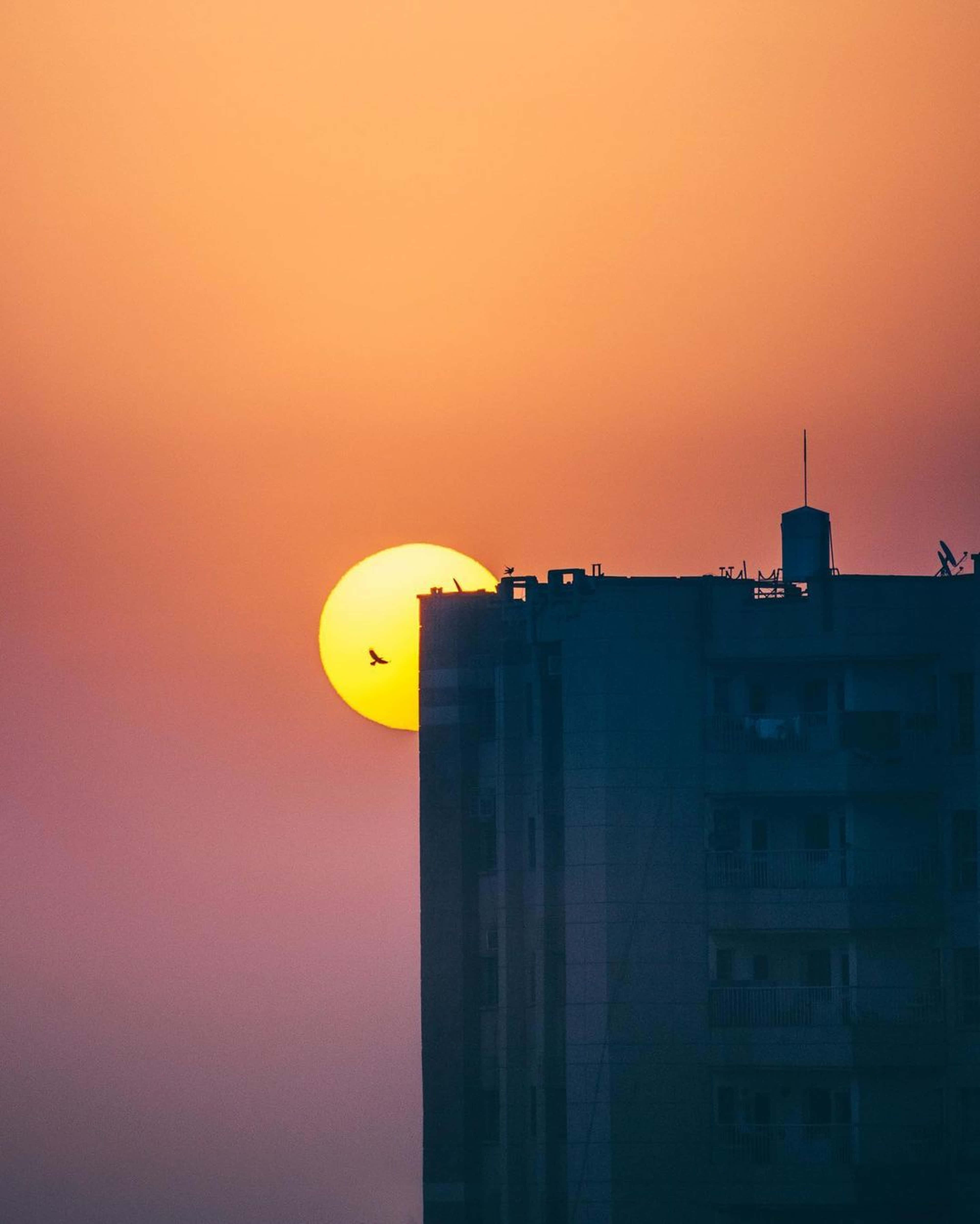 Aesthetic Sky 桌布 壁紙 — 一輪鮮豔的橙色夕陽在黑暗建築物的剪影後落下，一隻鳥飛過。