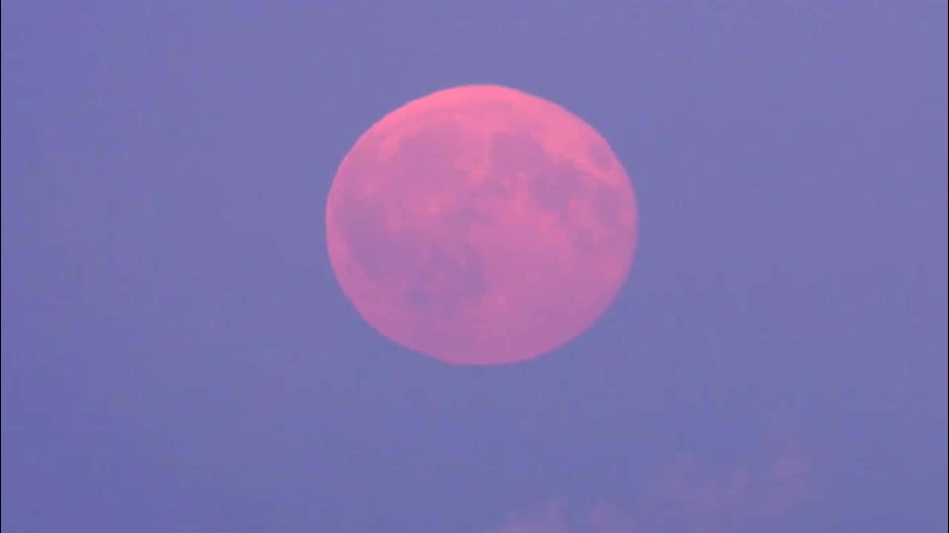 Pink Moon Real 桌布 壁紙 — 一輪鮮豔的粉紅色滿月在帶有薄雲的柔和紫色暮色天空中發光。
