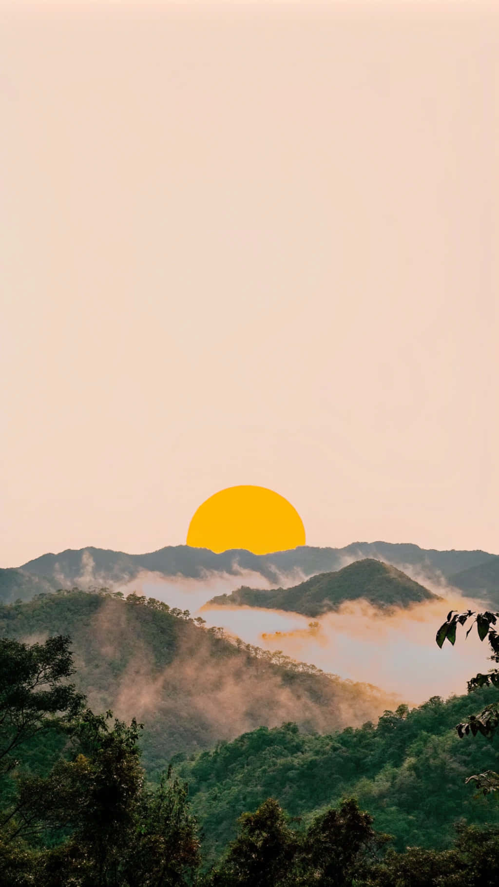 Sunset Aesthetic 桌布 壁紙 — 一輪鮮黃色的太陽在霧氣籠罩的綠色山巒和前景樹木上方升起。