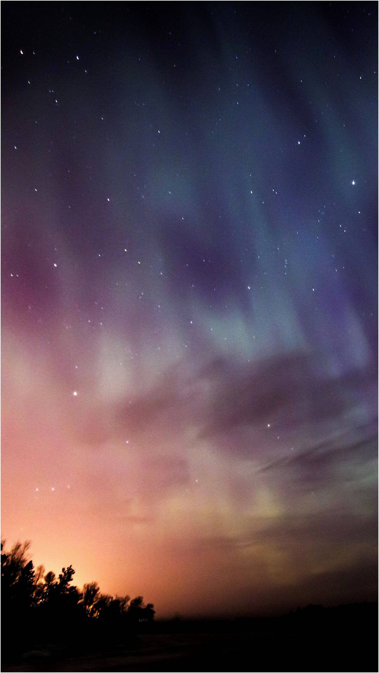 酷炫美學 桌布 壁紙 — 一道充滿活力的極光在星光閃爍的暮色天空中舞動，映襯著樹木的剪影。