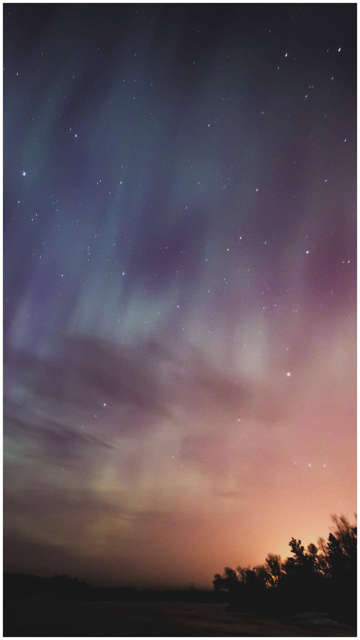 美學 Tumblr 桌布 壁紙 — 一道充滿活力的極光在繁星點點的夜空中舞動，映襯著剪影般的樹林，帶有柔和的粉紅色和紫色調。