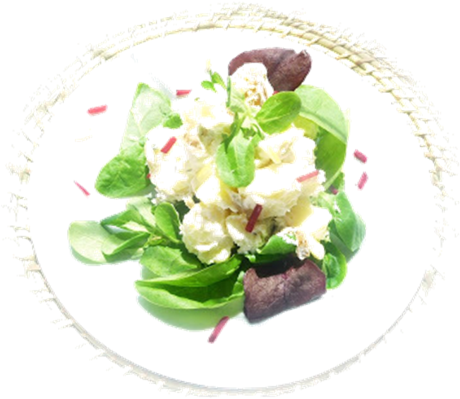沙拉 桌布 壁紙 — 一道充滿活力的沙拉，有爽脆的蔬菜、奶油醬汁和紫色菊苣，排列在圓形白色筆觸框架內。