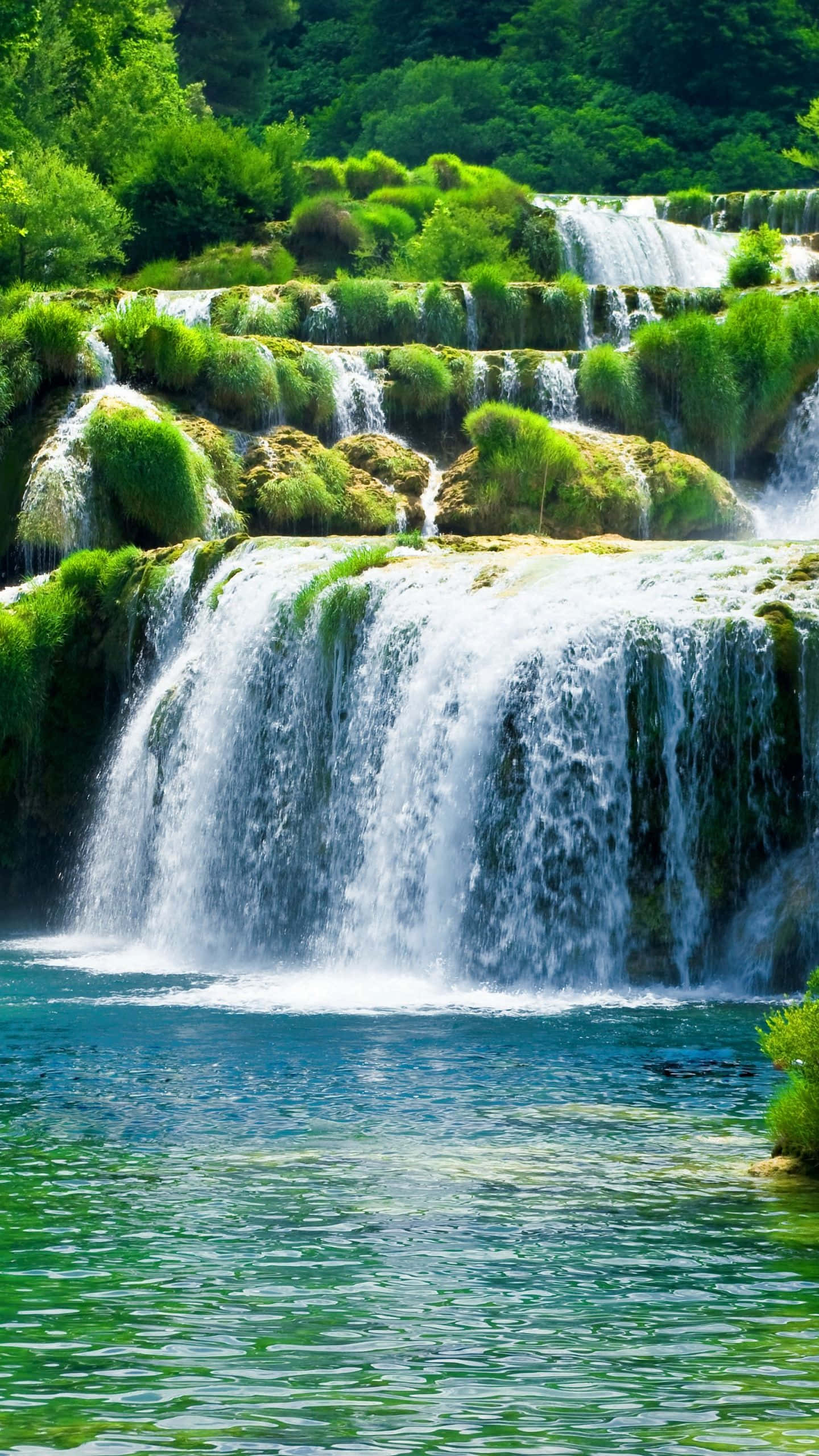 3d Waterfall 桌布 壁紙 — 一道充滿活力的瀑布從長滿苔蘚的綠色梯田傾瀉而下，流入被茂密森林環繞的清澈碧綠水池。
