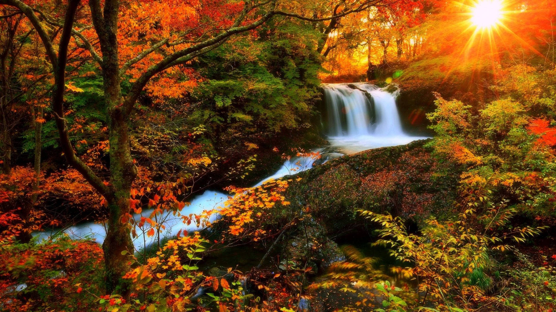 Autumn Season 桌布 壁紙 — 一道充滿活力的秋季瀑布穿過一片燃燒著橙色、紅色和金色樹葉的森林，陽光透過樹冠明亮地照耀著。