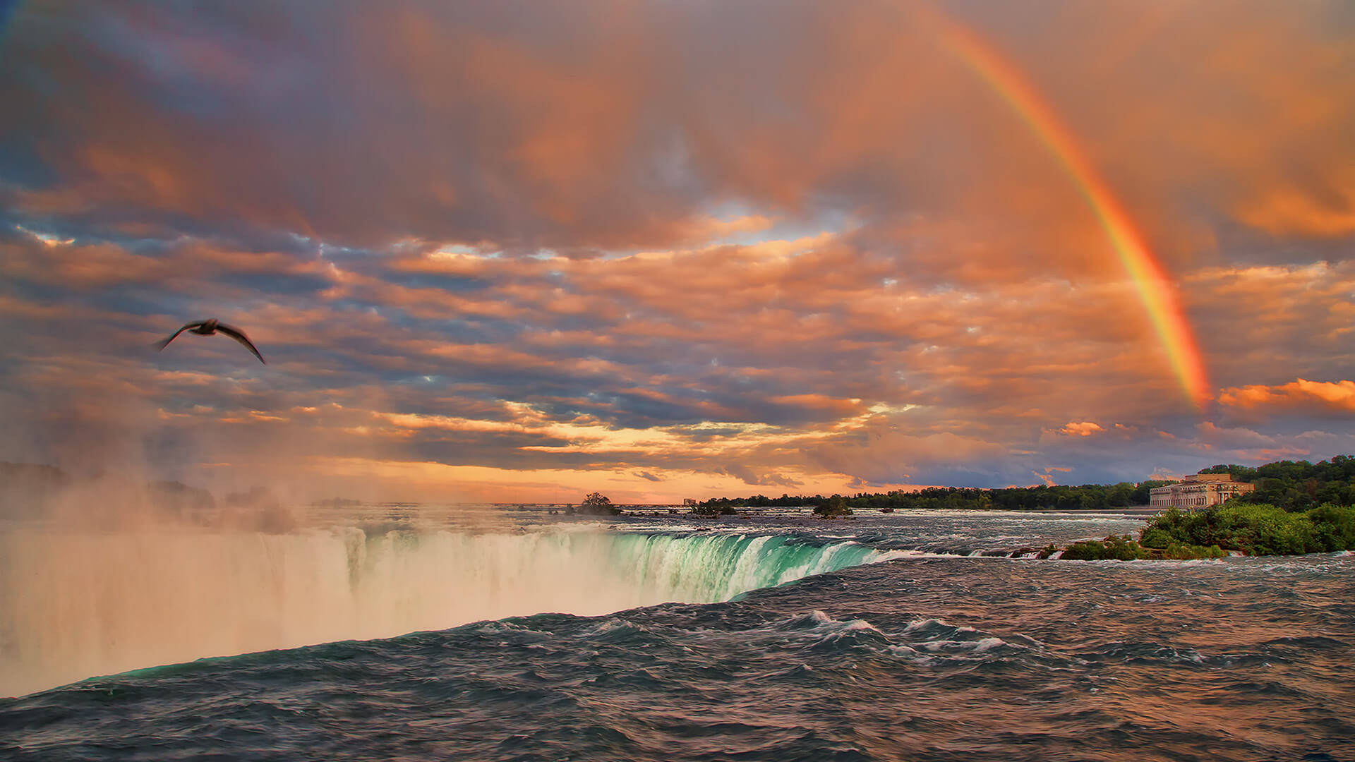 niagara 桌布 壁紙 — 一道壯麗的彩虹橫跨在夕陽下咆哮的尼亞加拉大瀑布之上，一隻鳥在霧氣瀰漫的天空中翱翔。