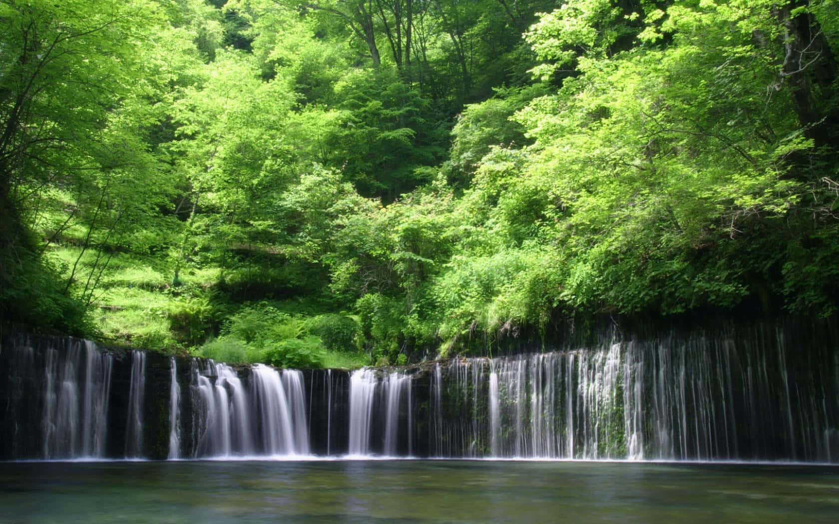 日本 桌布 壁紙 — 一道寧靜的水流從暗色岩石邊緣傾瀉而下，流入被茂密翠綠森林環繞的平靜水潭。