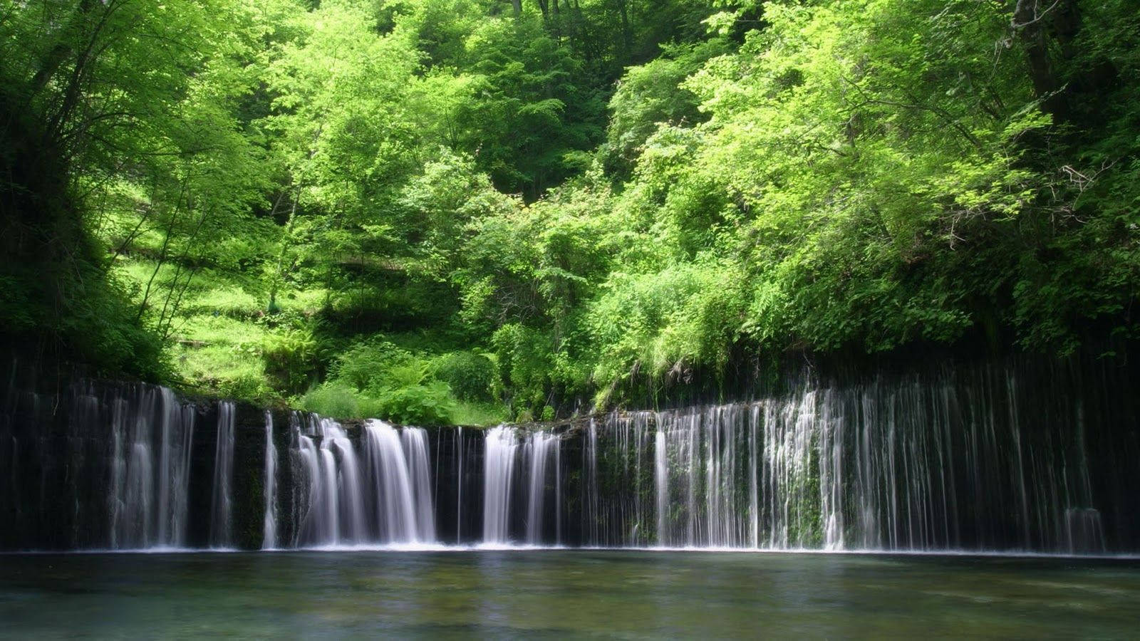 Congo 桌布 壁紙 — 一道寧靜的水流輕輕流過長滿苔蘚的岩石，流入被茂密綠色森林環繞的平靜水池。