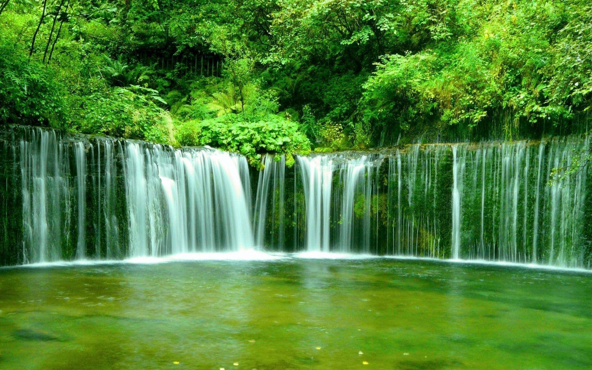 Streaming 桌布 壁紙 — 一道寧靜的水流輕輕流過長滿苔蘚的岩架，流入一個被茂密綠葉環繞的平靜碧綠色水池。