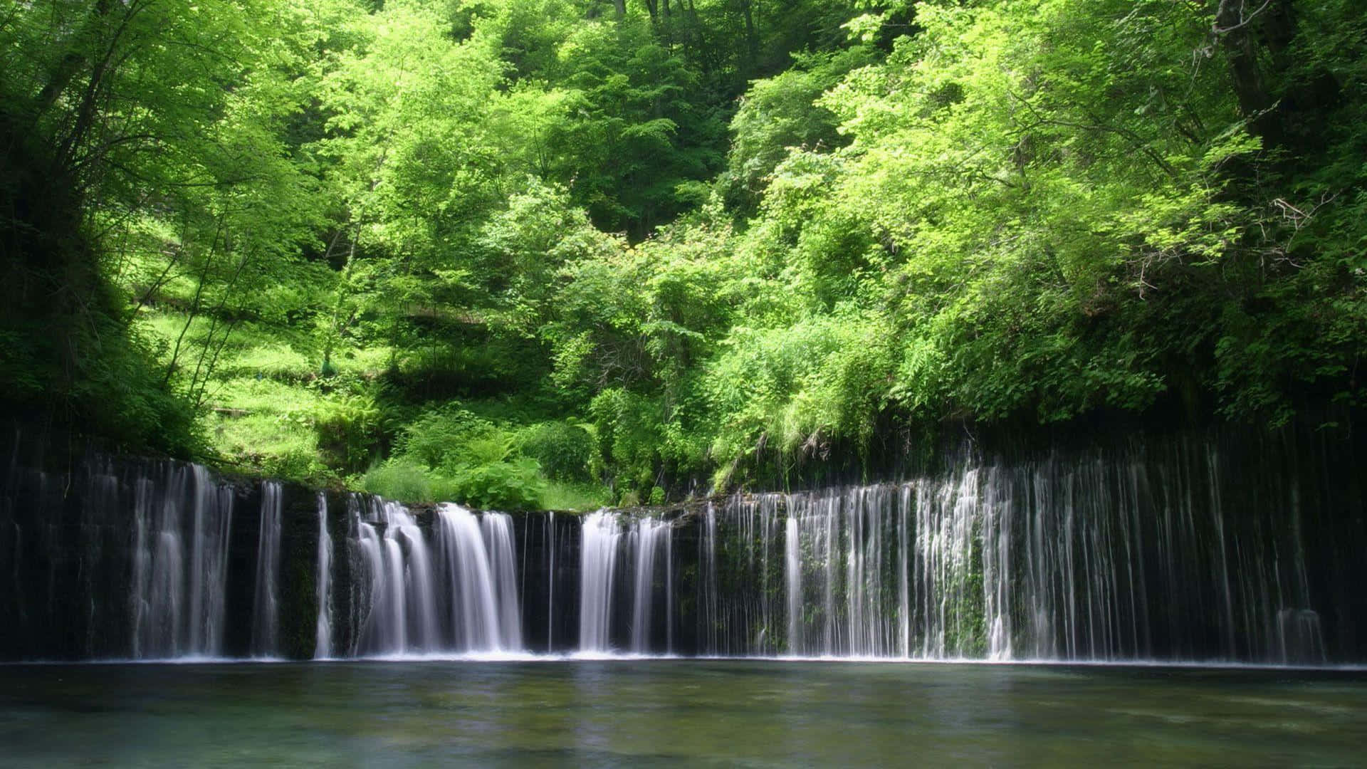 雨林 桌布 壁紙 — 一道寧靜的水流輕輕流過長滿苔蘚的岩石，流入一個被茂密綠色森林包圍的平靜水池。