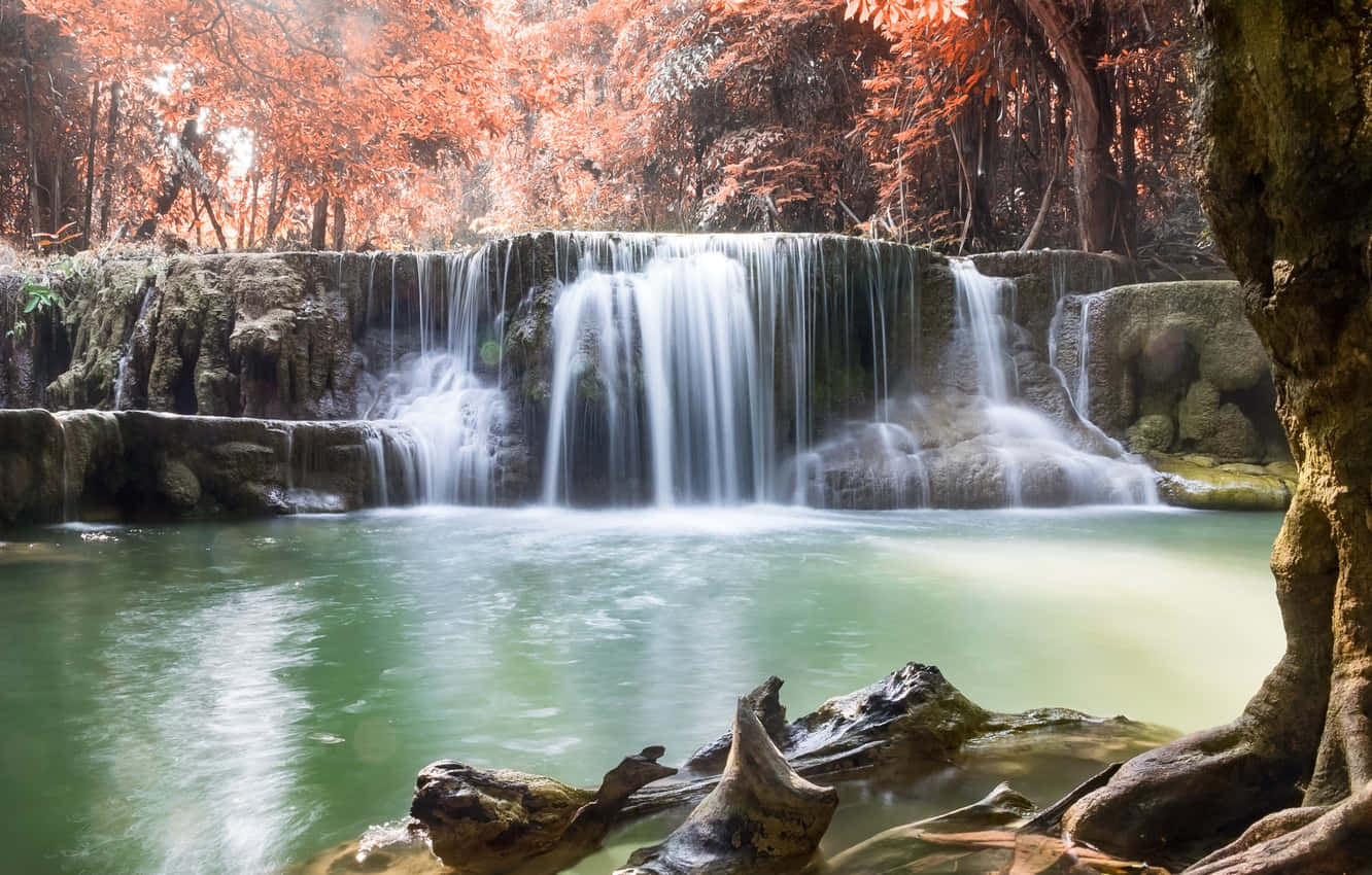 Beautiful Forest 桌布 壁紙 — 一道寧靜的瀑布流過長滿苔蘚的岩石，落入一個被秋日樹木環繞的藍綠色水池，樹葉呈現火紅的橙色。