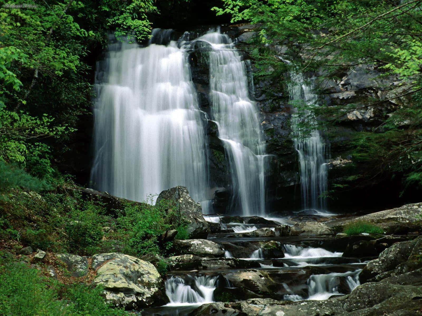 river 桌布 壁紙 — 一道寧靜的瀑布流過長滿苔蘚的岩石，穿過茂密的綠色森林，下方溪流升起輕柔的薄霧。