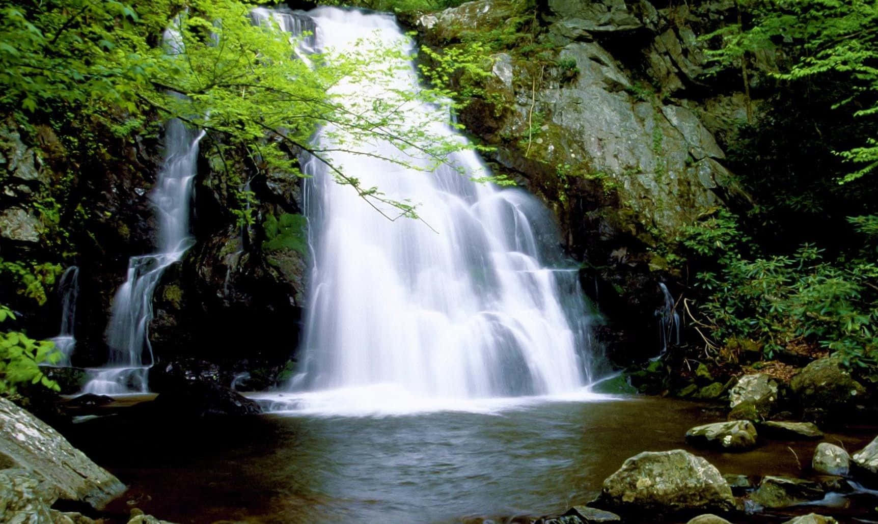 Waterfalls 桌布 壁紙 — 一道寧靜的瀑布流過長滿苔蘚的岩石，落入一個被茂密綠色森林環繞的平靜水池中。